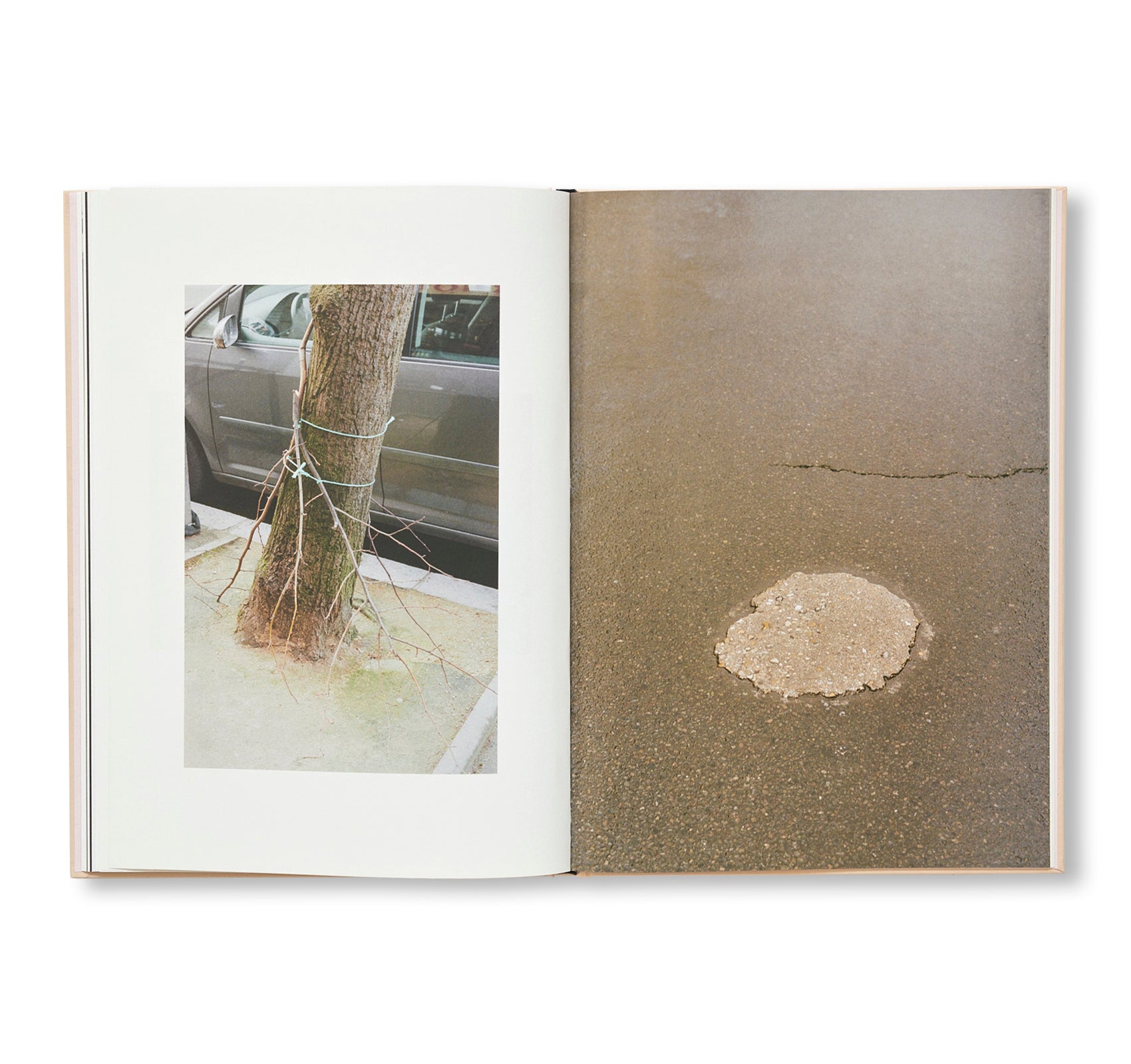 THE CLOUD, THE BIRD AND THE PUDDLE by Ola Rindal [SIGNED]