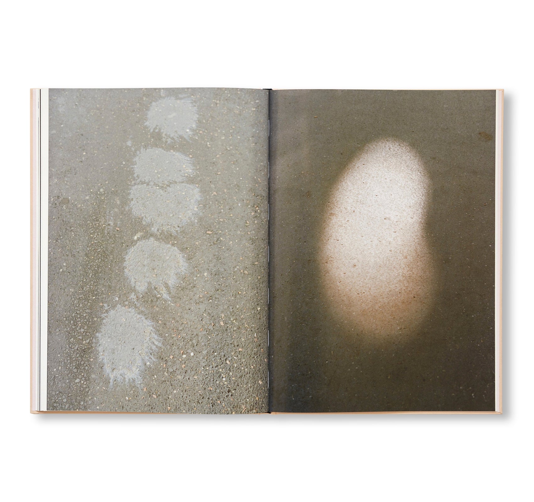 THE CLOUD, THE BIRD AND THE PUDDLE by Ola Rindal [SIGNED]