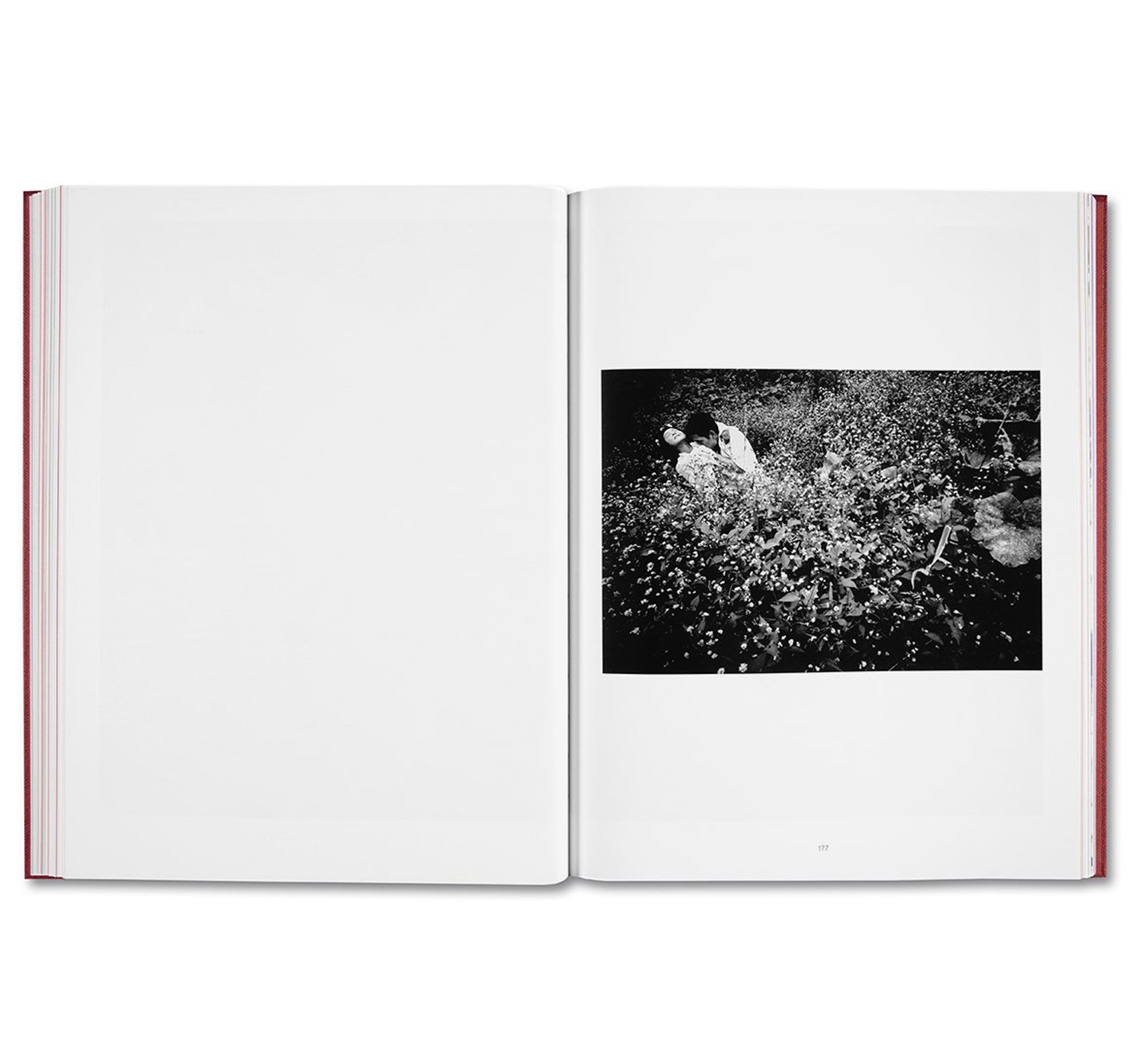 EIKOH HOSOE by Yasufumi Nakamori [JAPANESE EDITION]