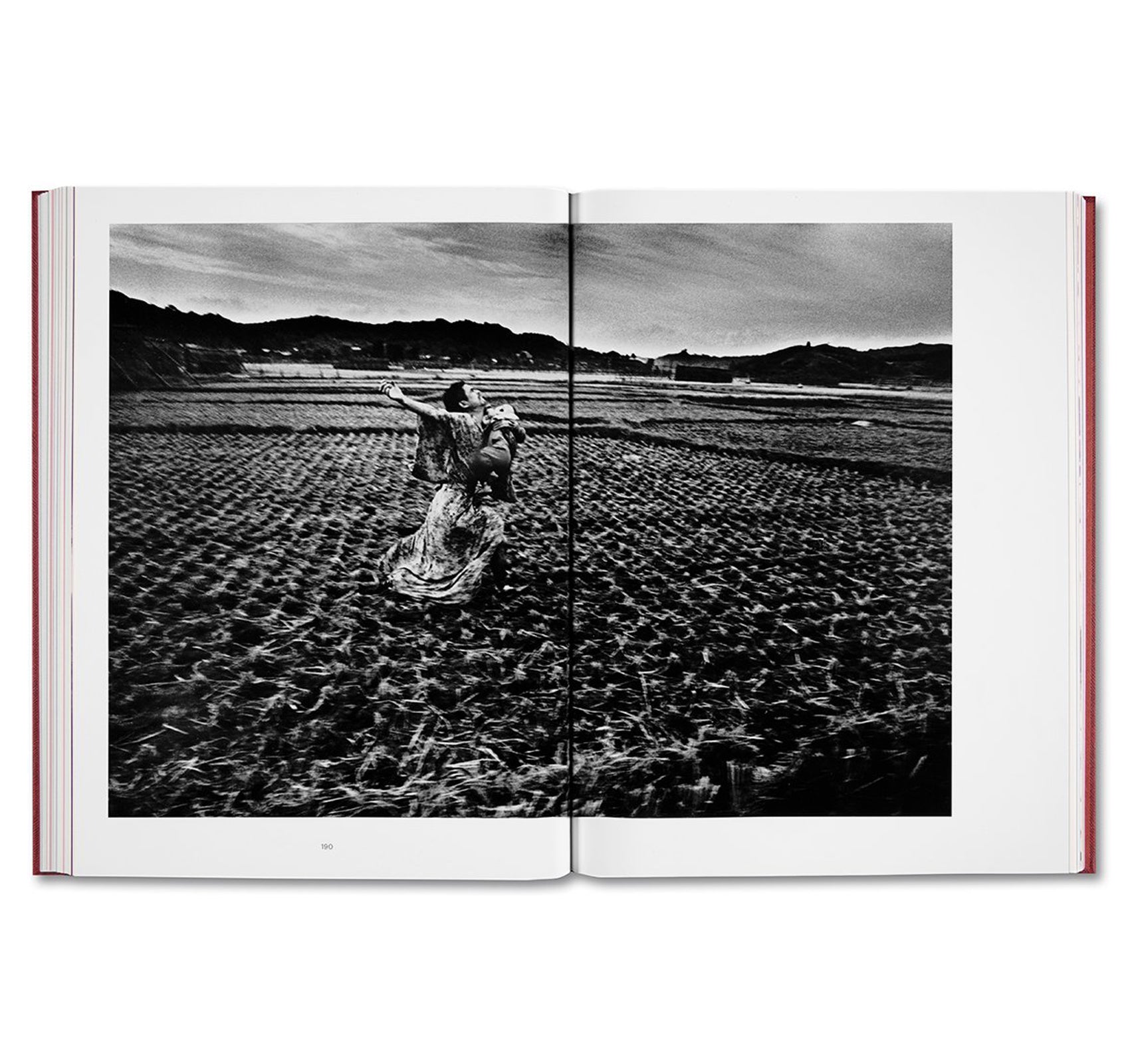 EIKOH HOSOE by Yasufumi Nakamori [JAPANESE EDITION]