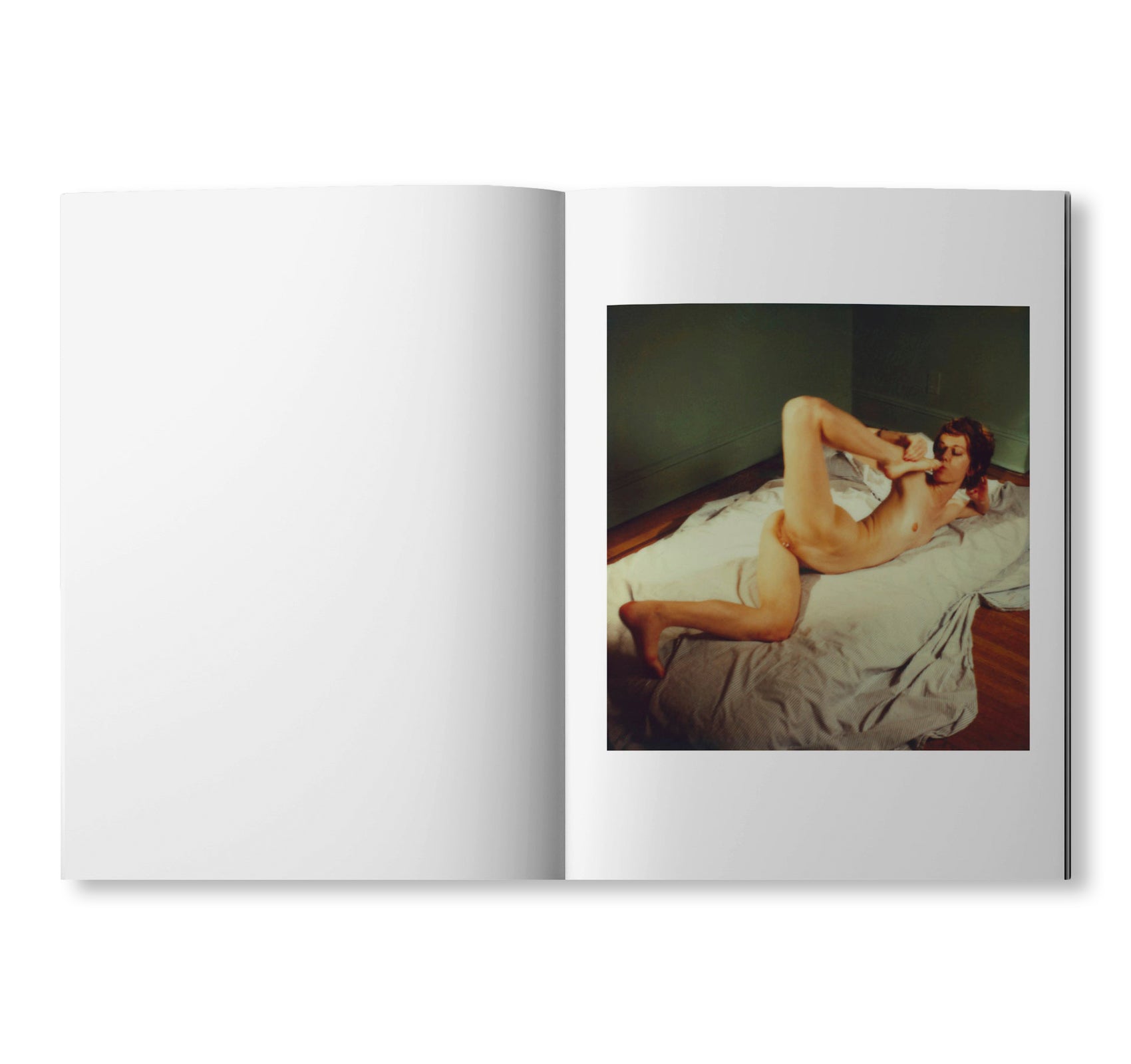 POLAROIDS by Richard Kern