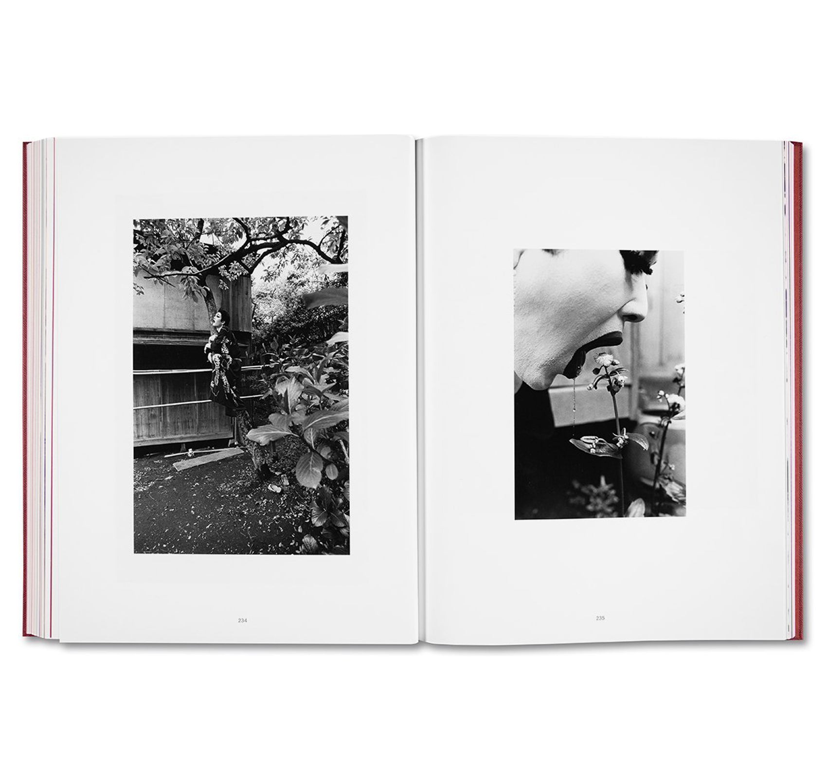 EIKOH HOSOE by Yasufumi Nakamori [JAPANESE EDITION]