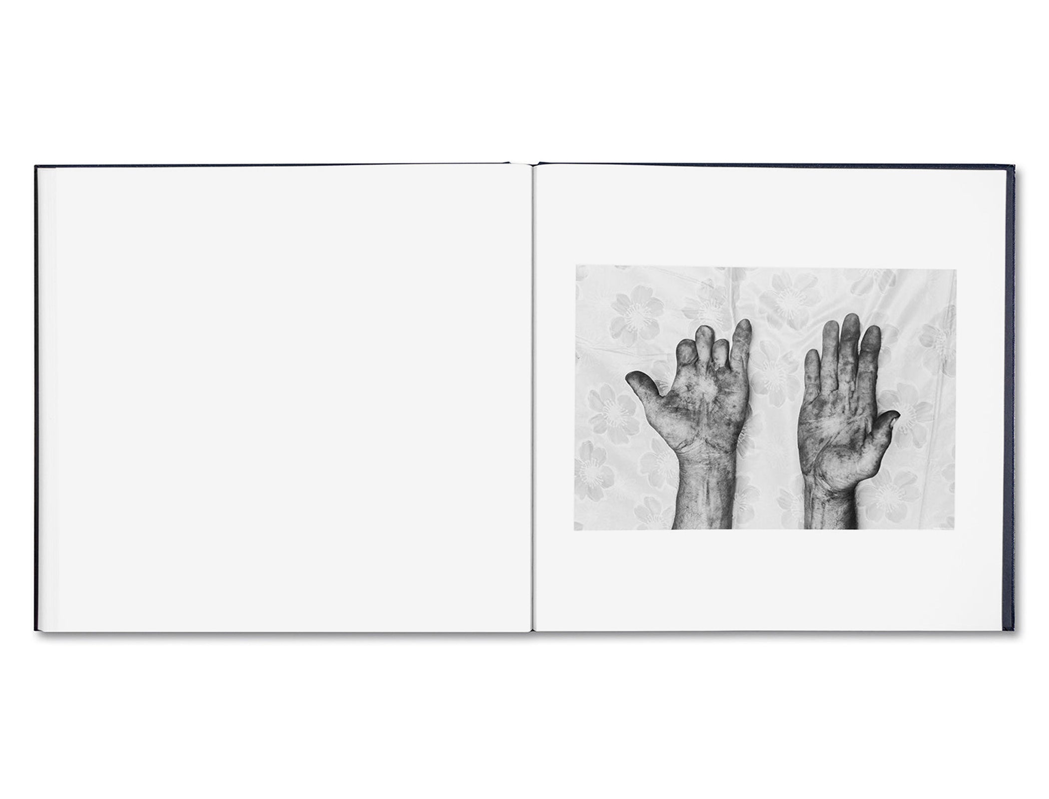 SOME SAY ICE by Alessandra Sanguinetti [SIGNED SLIP]