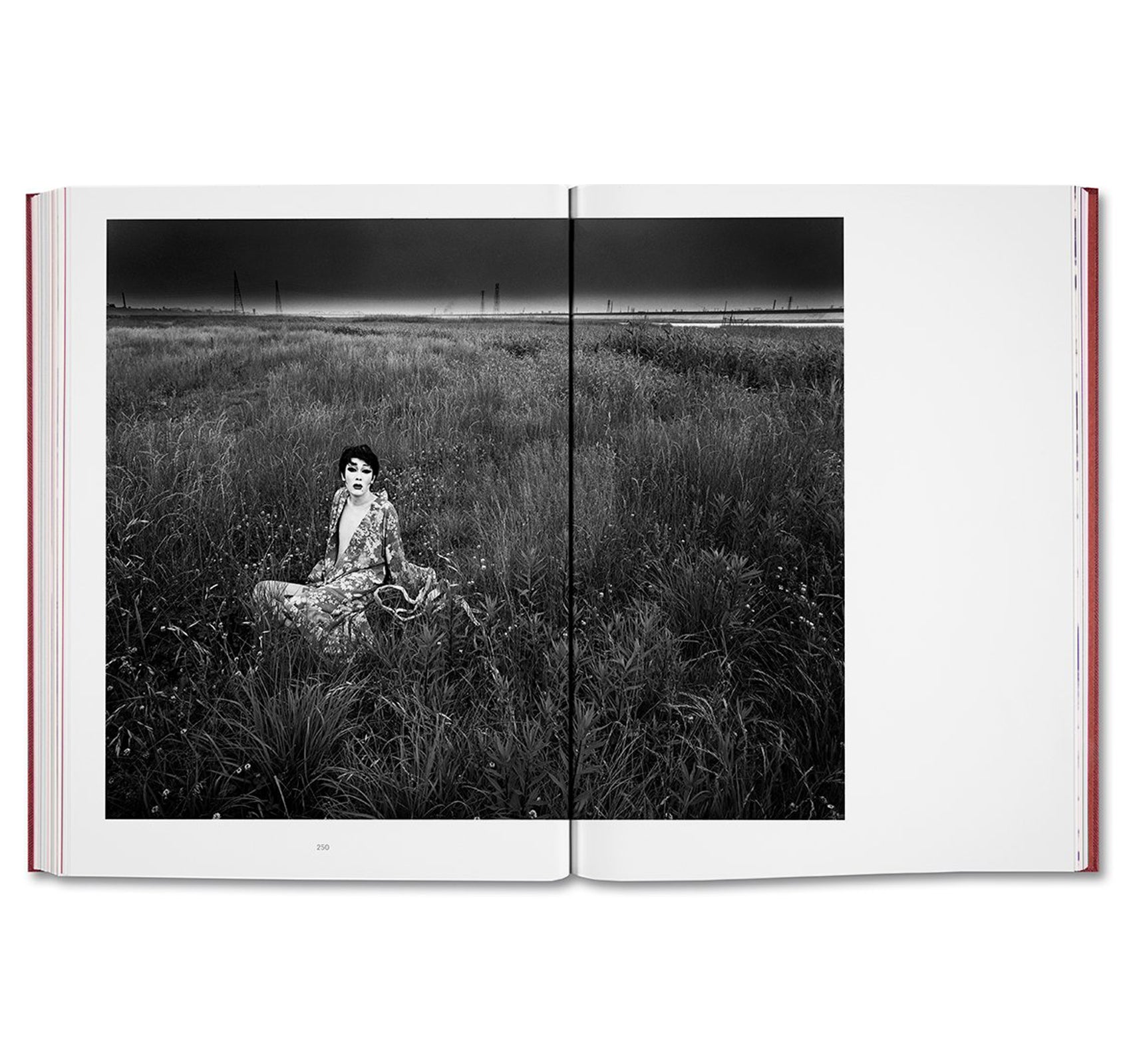 EIKOH HOSOE by Yasufumi Nakamori [JAPANESE EDITION]