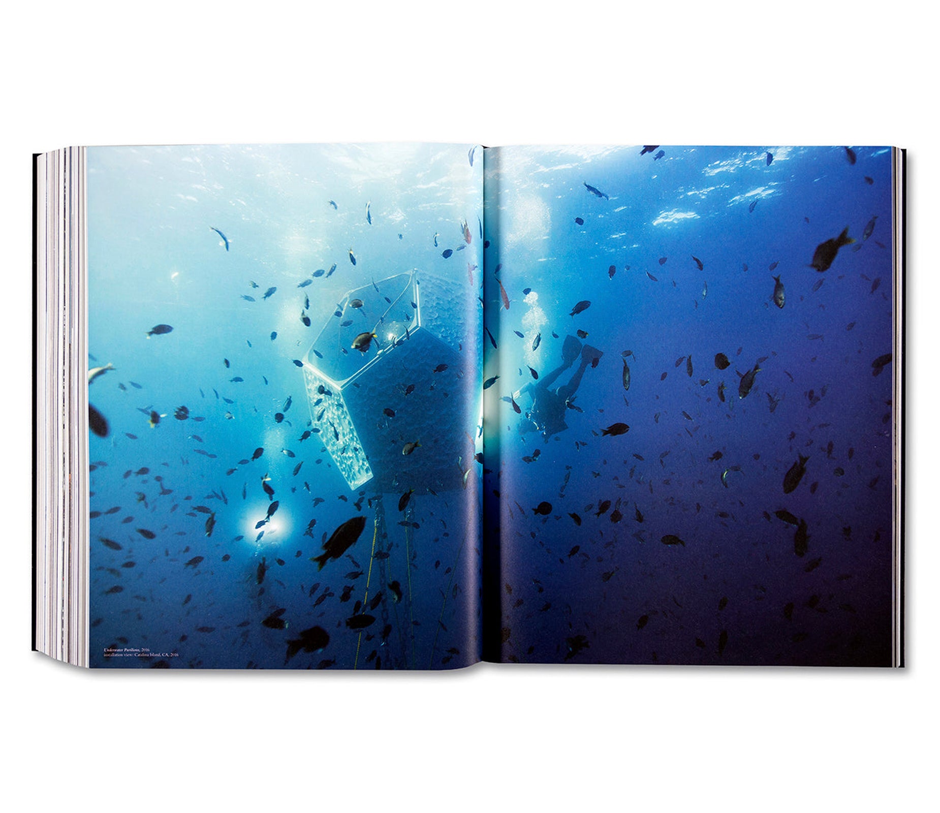 WORKS 1992–2022 by Doug Aitken [SIGNED]