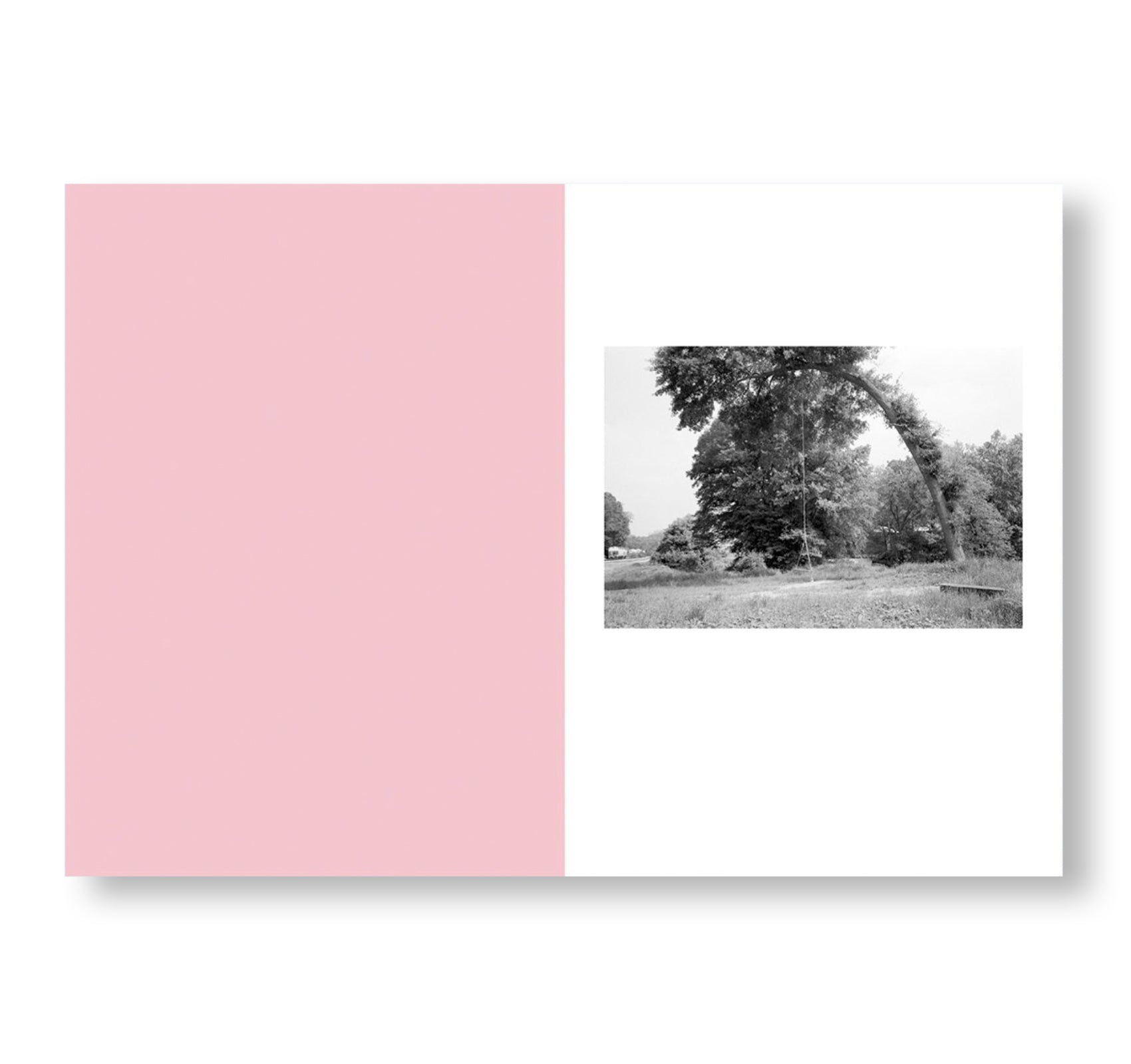 ONE PICTURE BOOK TWO #32: BENT TREE by Mark Steinmetz [SPECIAL EDITION]