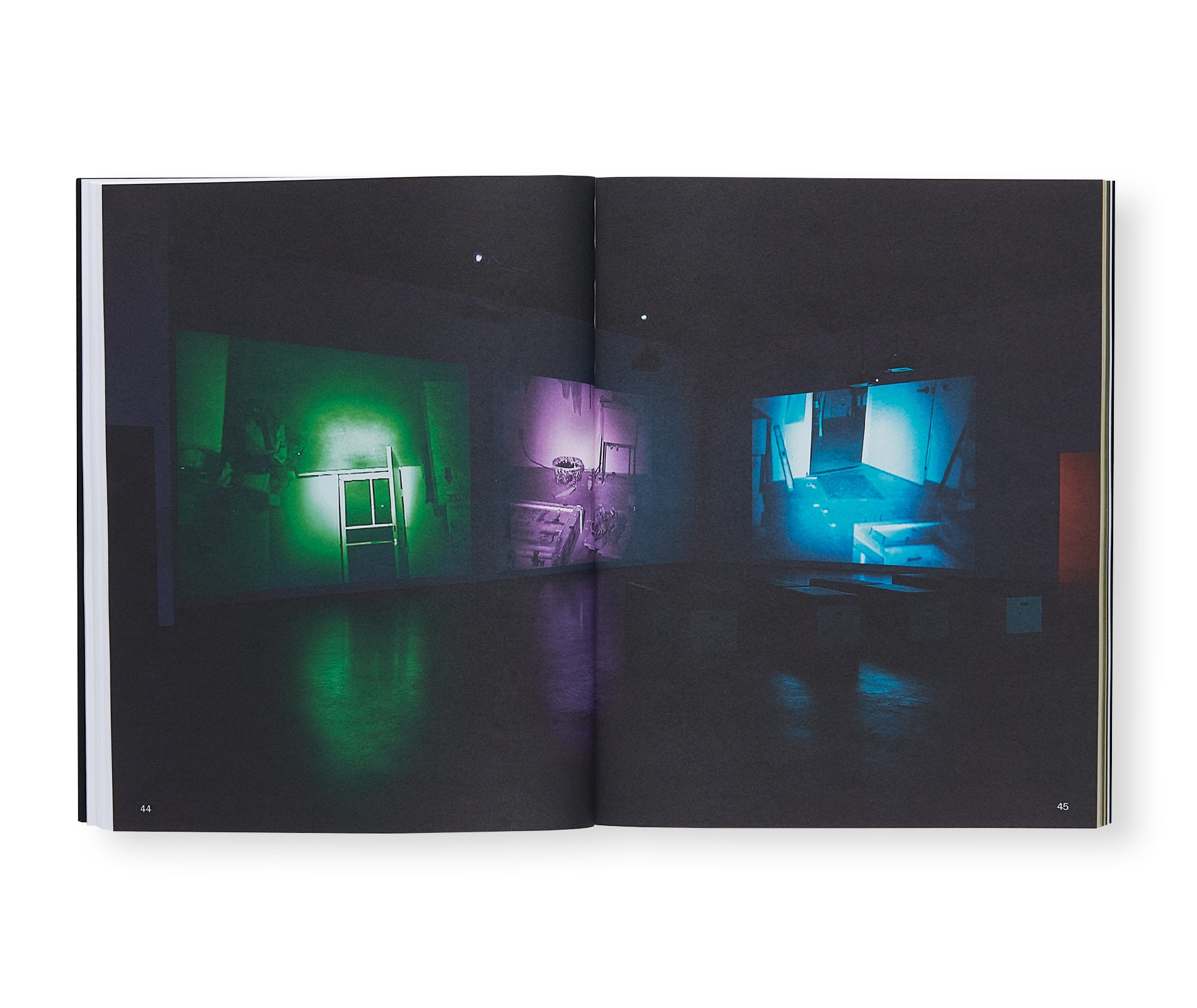 BRUCE NAUMAN (2021) by Bruce Nauman