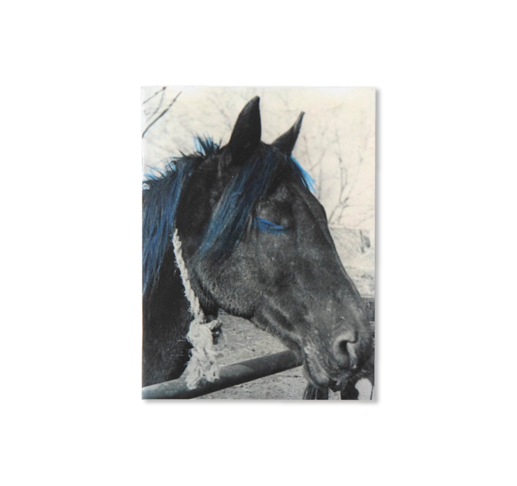 FROM "BLAUE HORSE" TILL NOW DAYS 1965-2022 by Boris Mikhailov