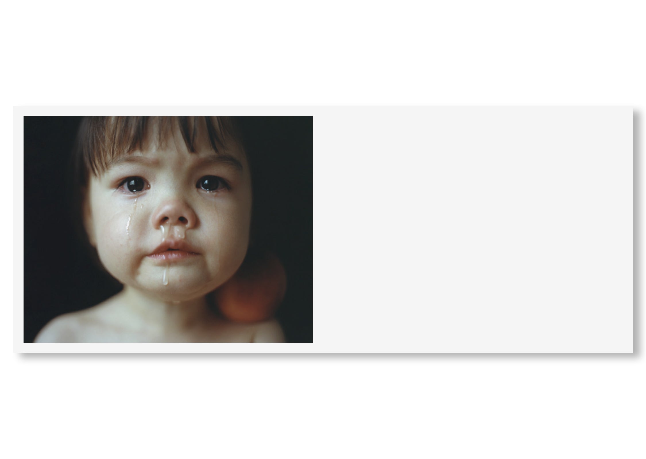 WILD CHILDREN by Osamu Yokonami [SPECIAL EDITIION]