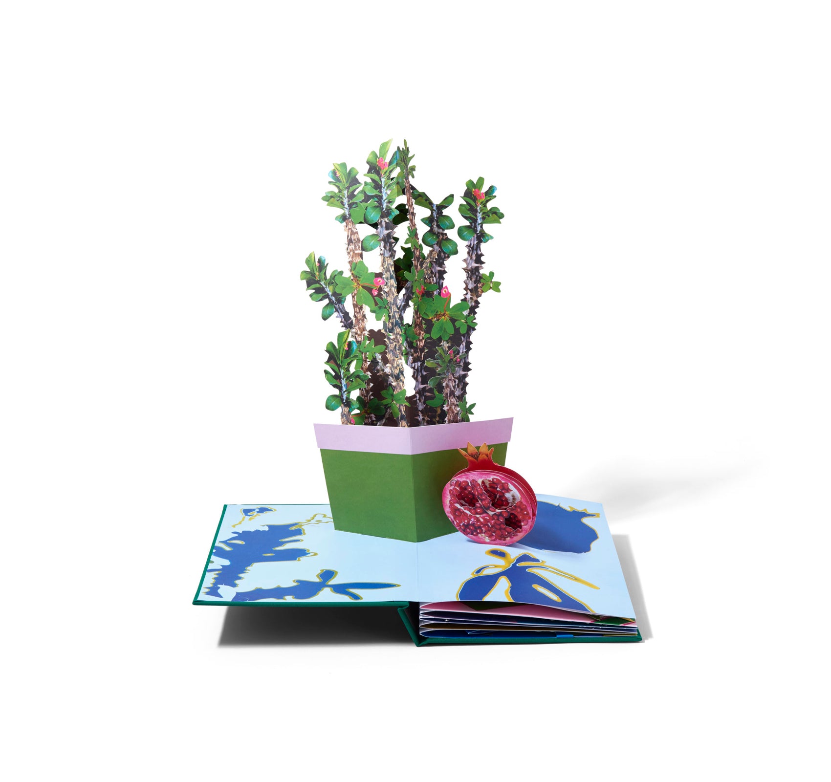 HOUSEPLANTS by Daniel Gordon