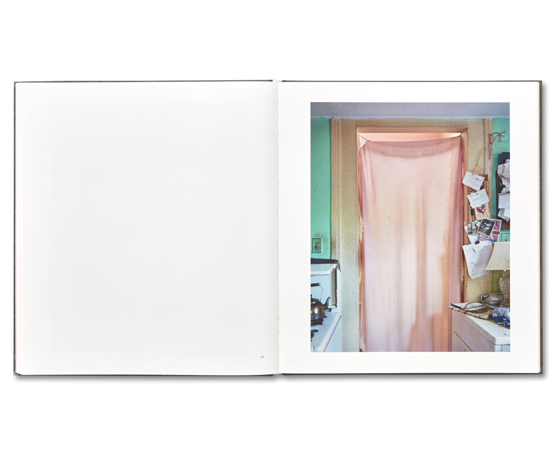 I KNOW HOW FURIOUSLY YOUR HEART IS BEATING by Alec Soth [SIGNED]