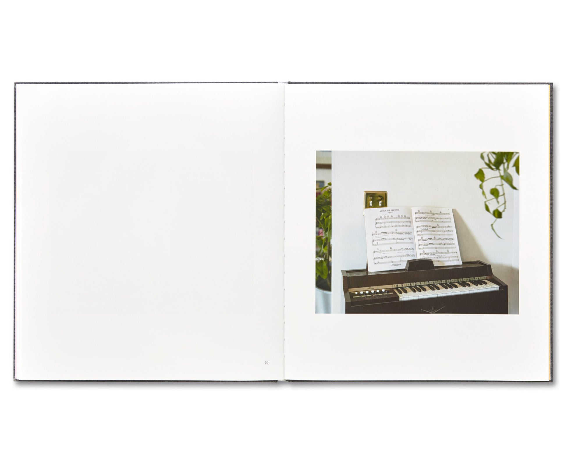 I KNOW HOW FURIOUSLY YOUR HEART IS BEATING by Alec Soth [SIGNED]