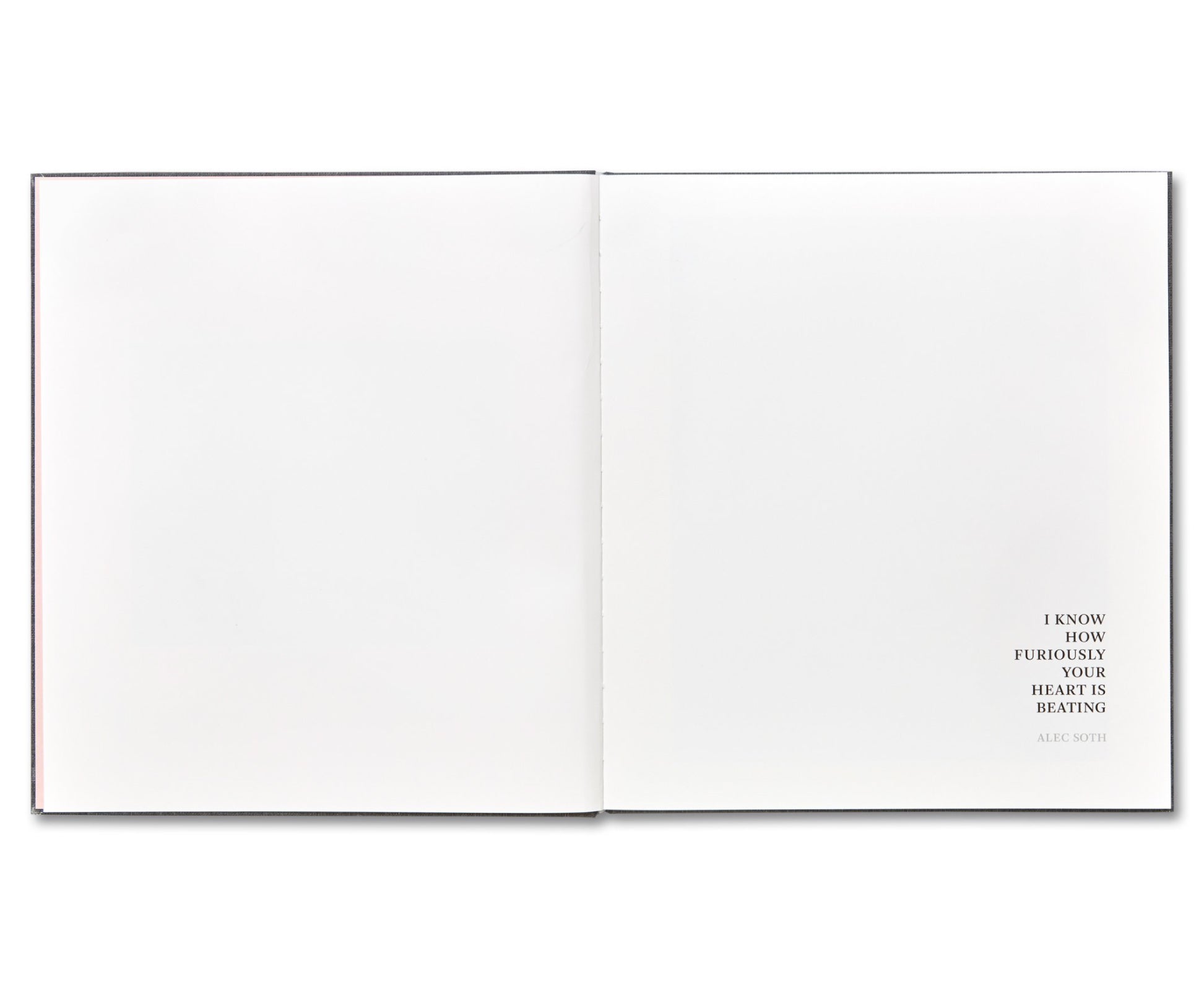 I KNOW HOW FURIOUSLY YOUR HEART IS BEATING by Alec Soth [SPECIAL EDITION (A)]