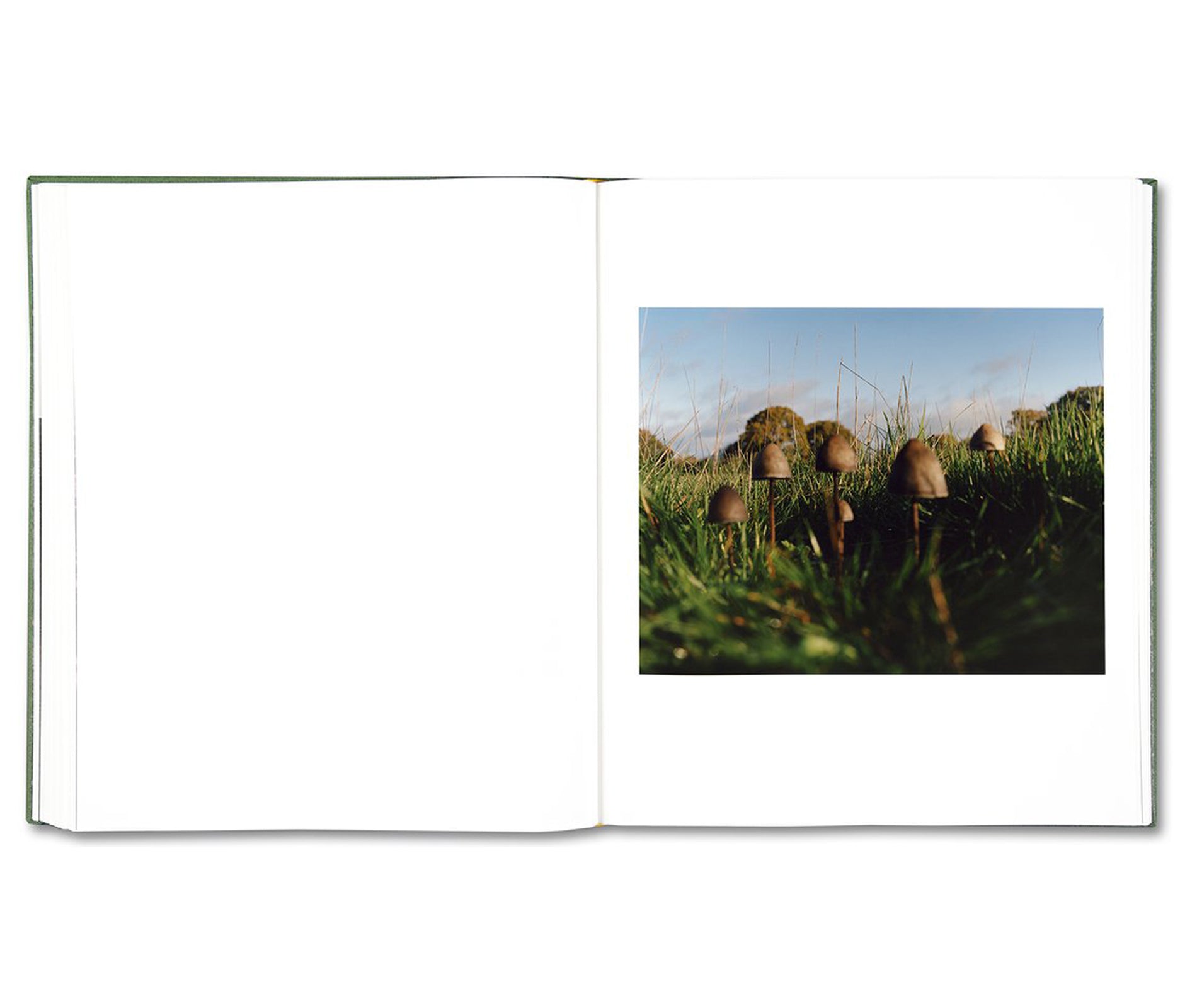 THE BRITISH ISLES by Jamie Hawkesworth [SIGNED]