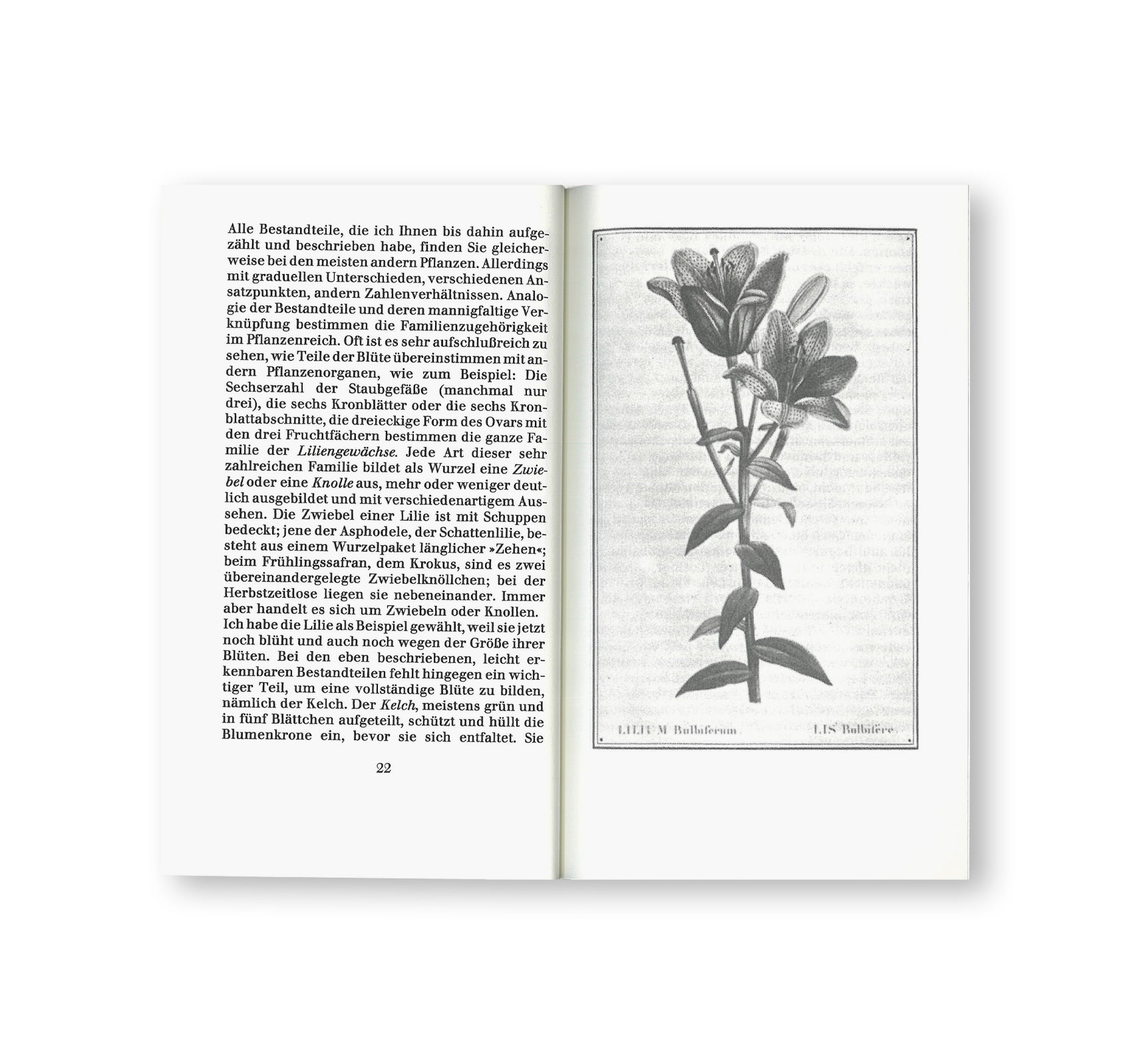 BOTANISCHE LEHRBRIEFE by Jochen Lempert