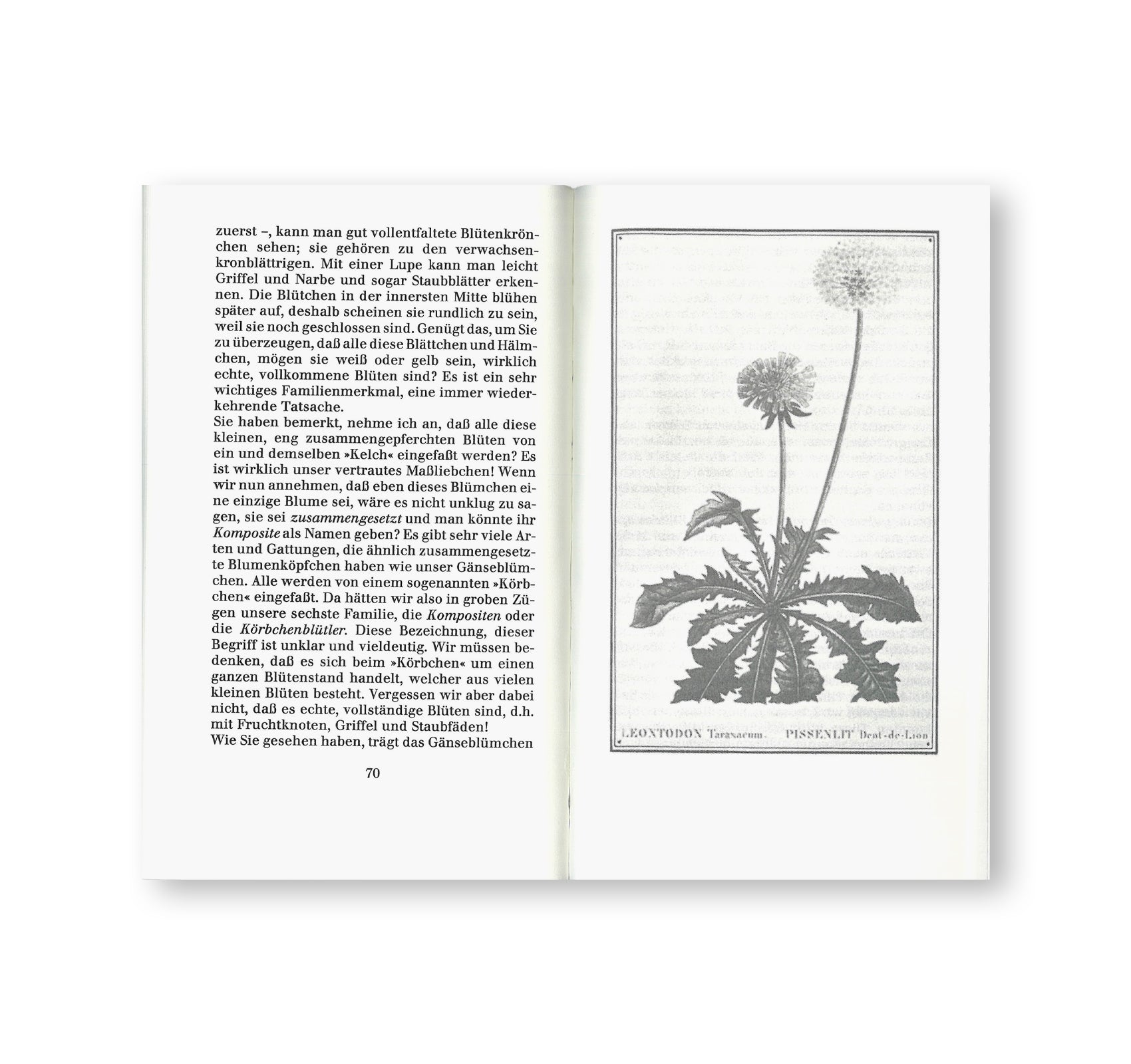 BOTANISCHE LEHRBRIEFE by Jochen Lempert