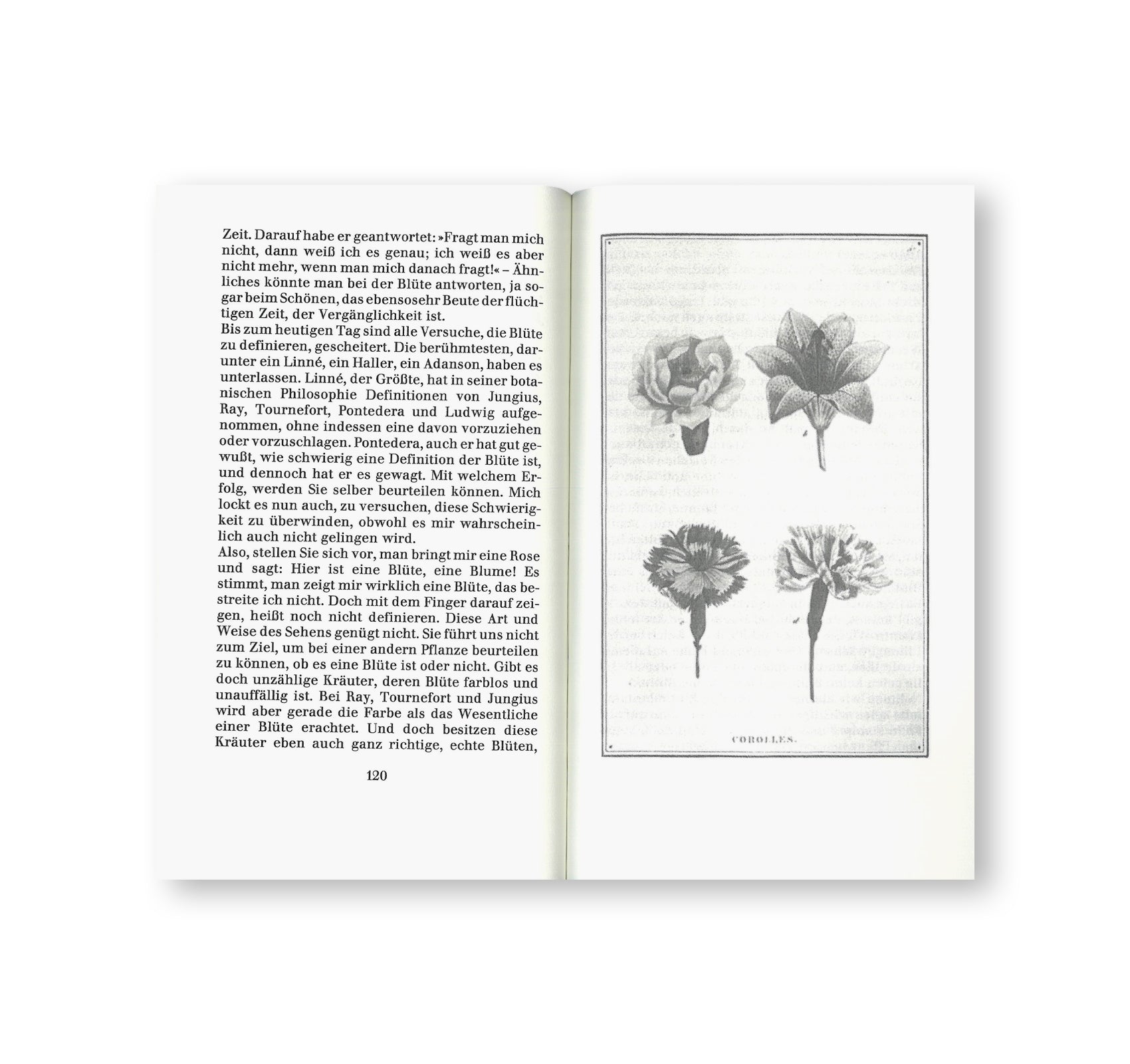 BOTANISCHE LEHRBRIEFE by Jochen Lempert