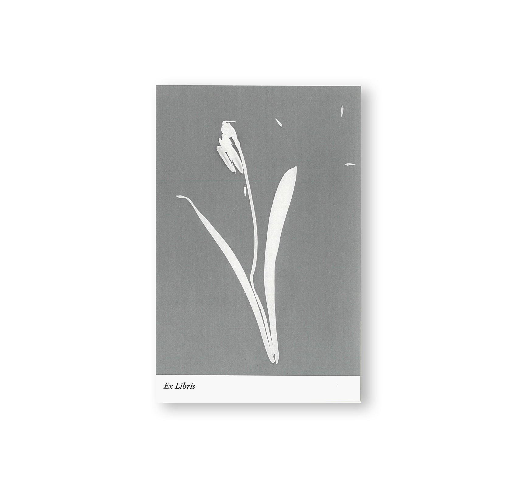 BOTANISCHE LEHRBRIEFE by Jochen Lempert