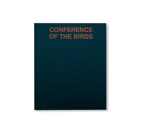CONFERENCE OF THE BIRDS by Sybren Vanoverberghe