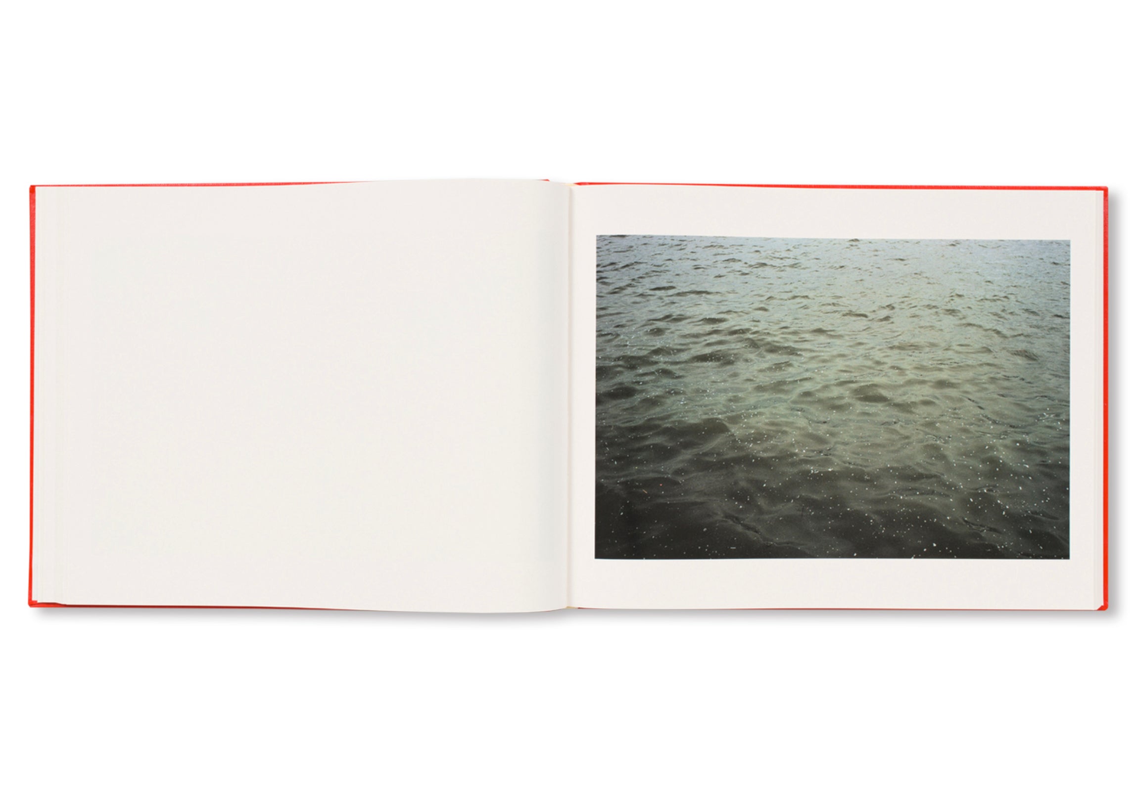 DICTIONARY OF WATER by Roni Horn