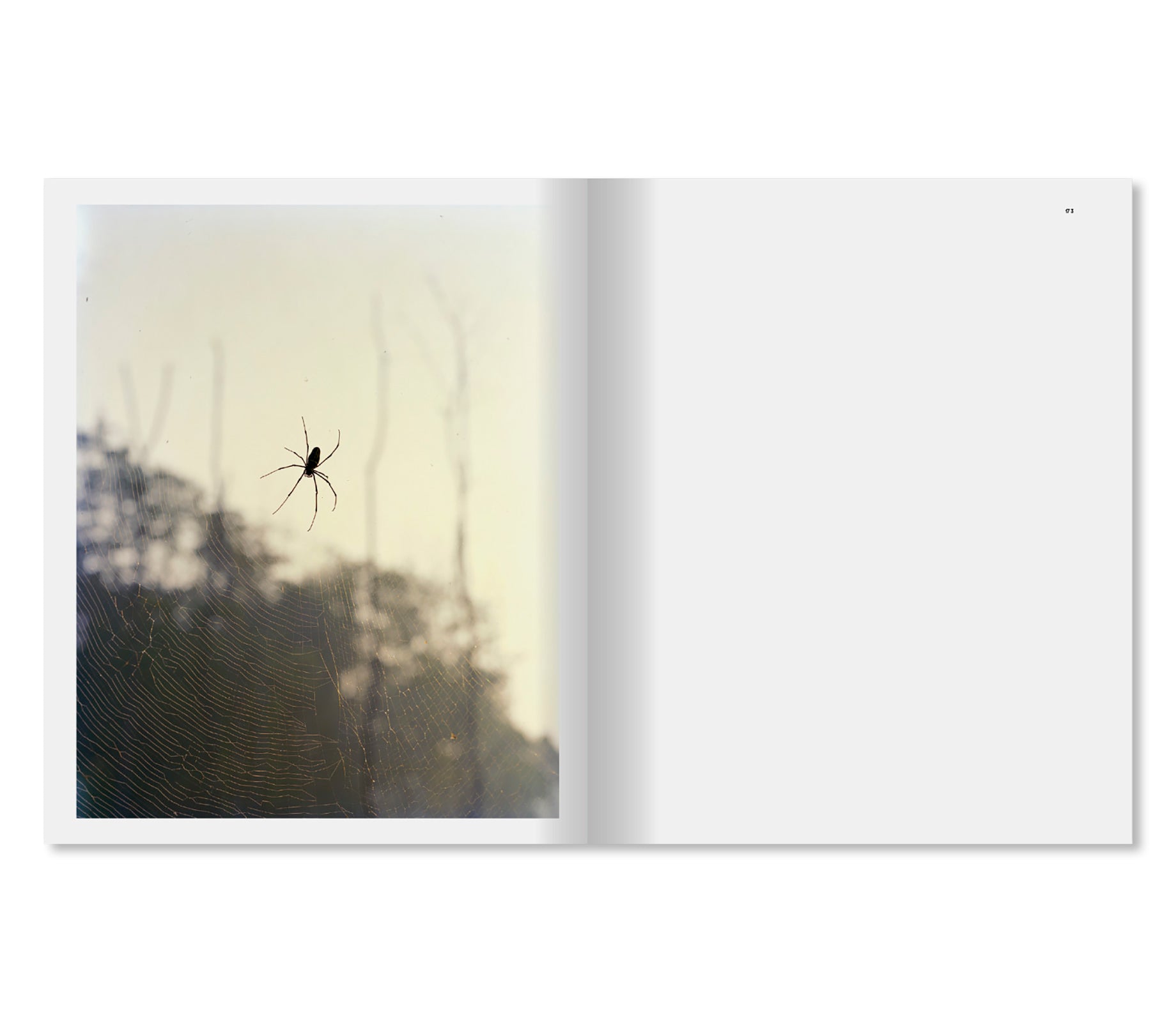 DANDAKA by Vasantha Yogananthan [SIGNED]