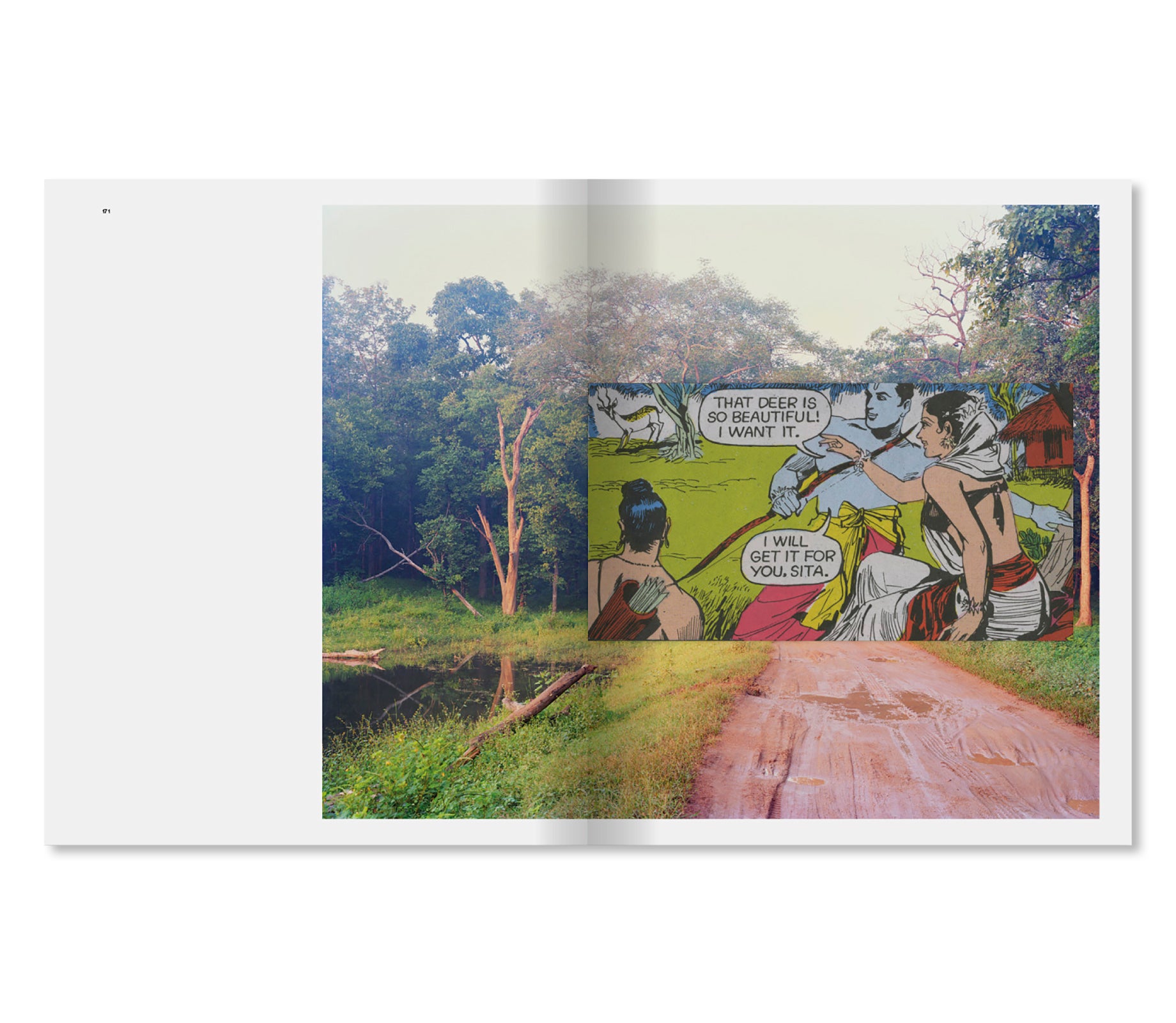 DANDAKA by Vasantha Yogananthan [SIGNED]