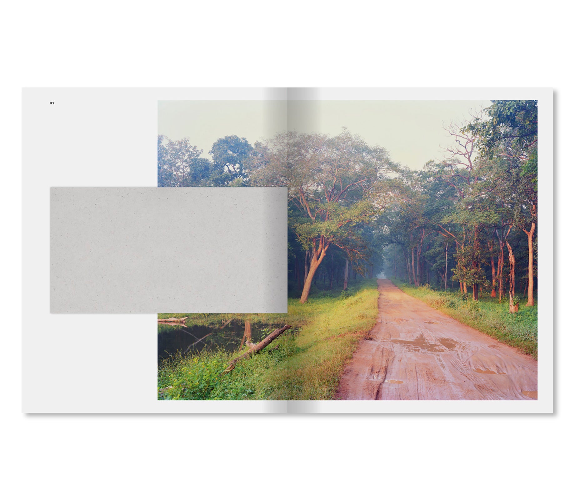 DANDAKA by Vasantha Yogananthan [SIGNED]