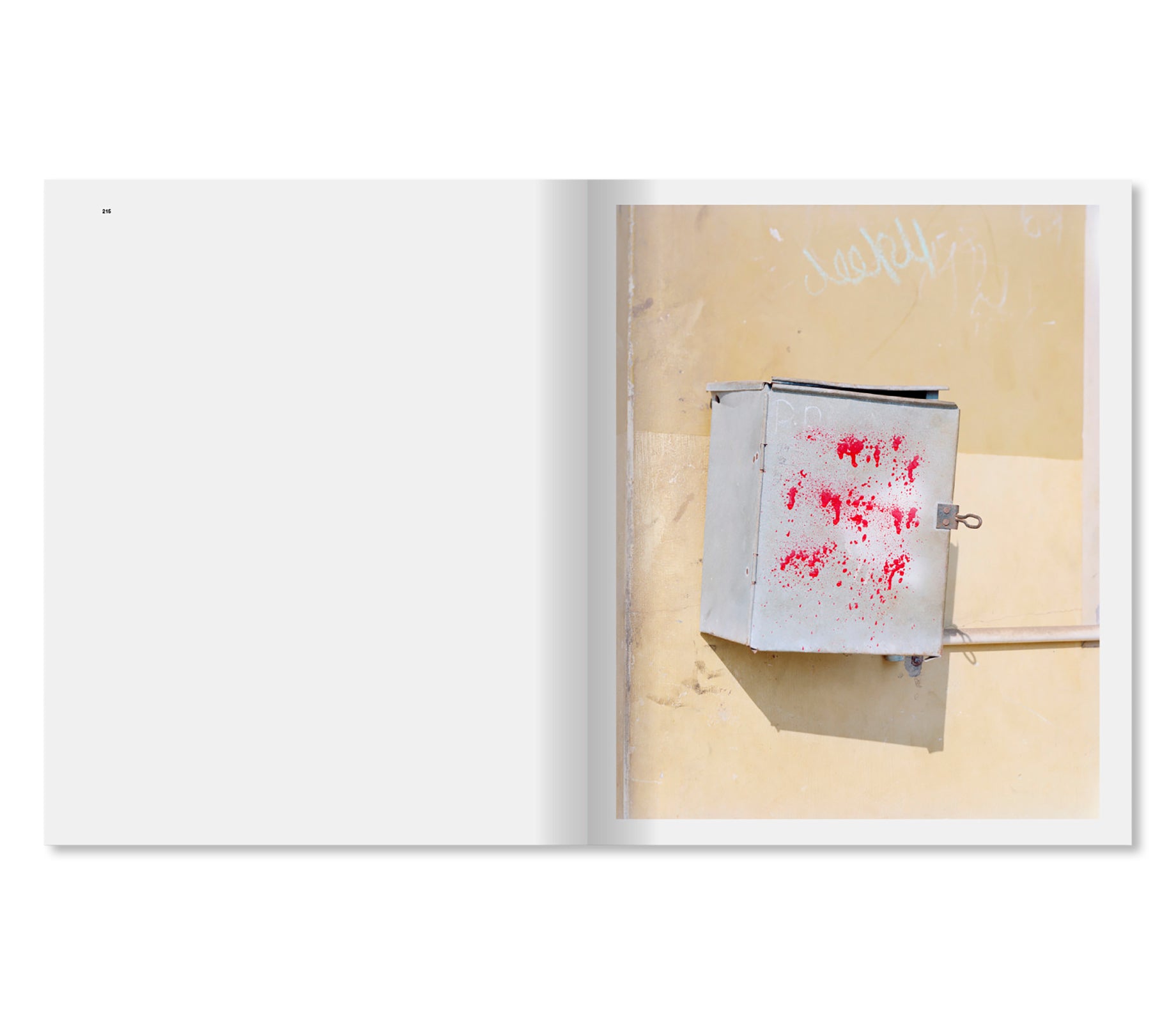 DANDAKA by Vasantha Yogananthan [SIGNED]