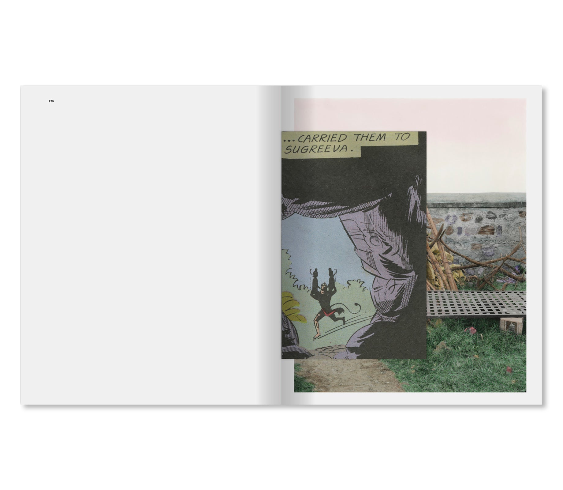 DANDAKA by Vasantha Yogananthan [SIGNED]