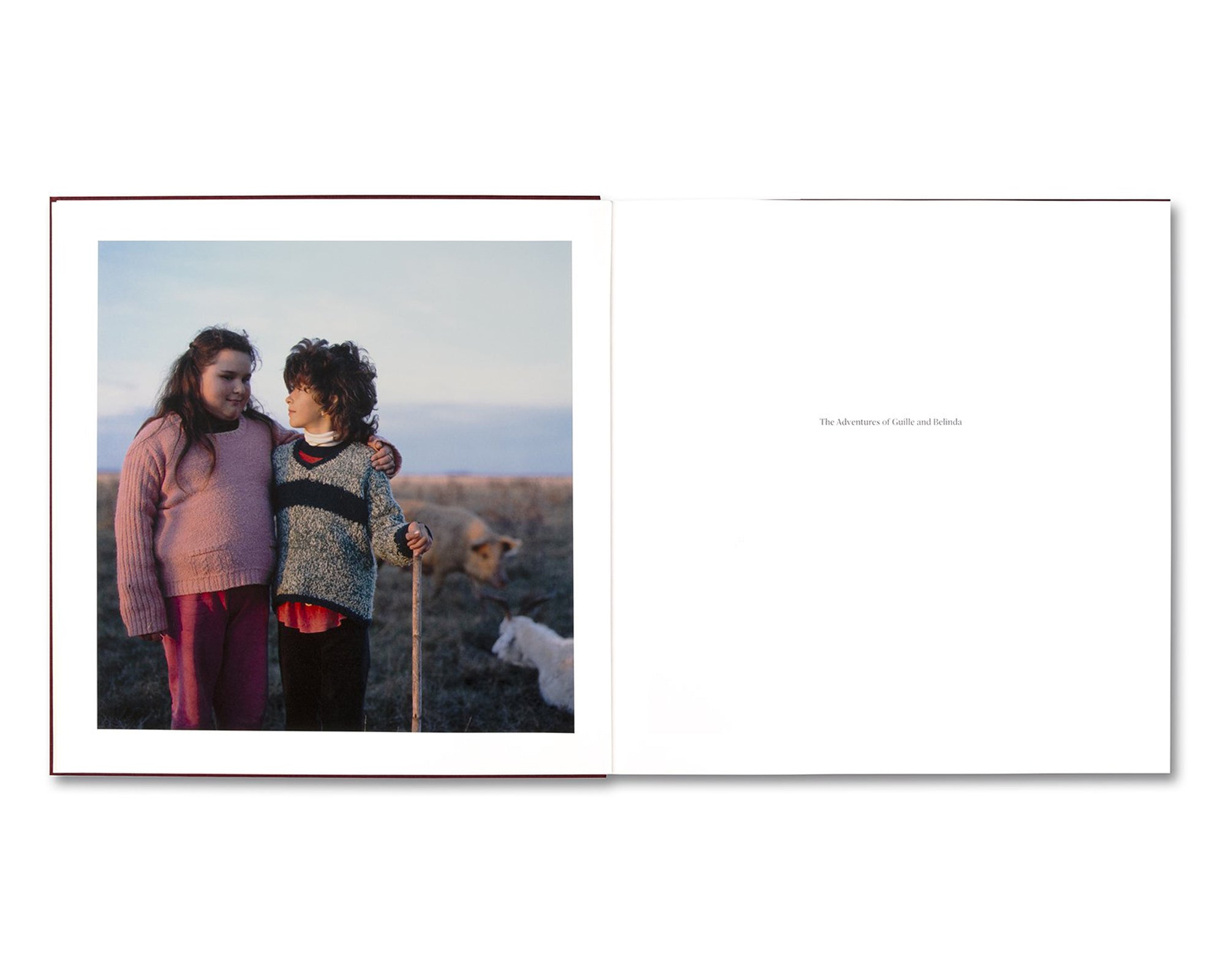 THE ADVENTURES OF GUILLE AND BELINDA AND THE ENIGMATIC MEANING OF THEIR DREAMS by Alessandra Sanguinetti