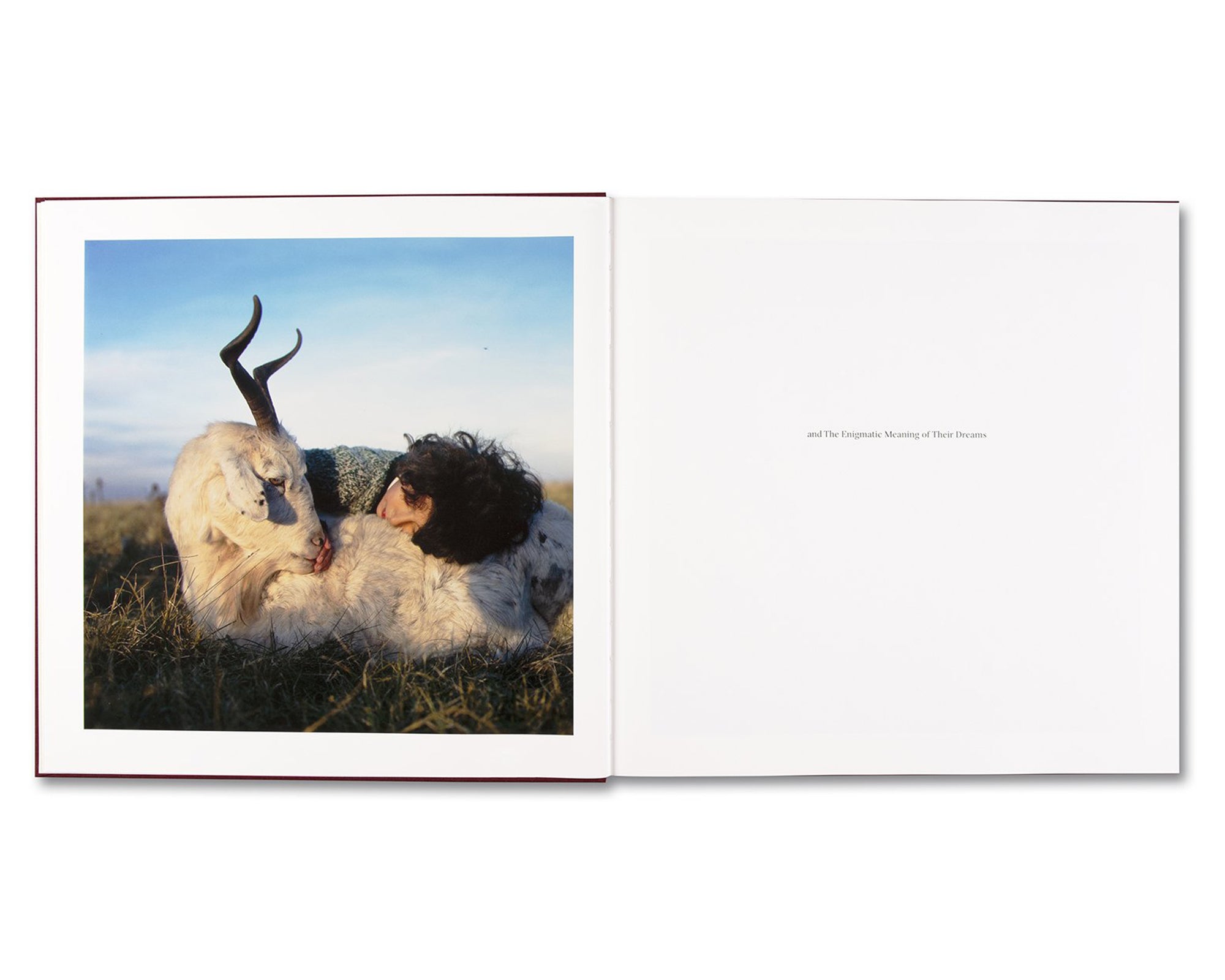 THE ADVENTURES OF GUILLE AND BELINDA AND THE ENIGMATIC MEANING OF THEIR DREAMS by Alessandra Sanguinetti