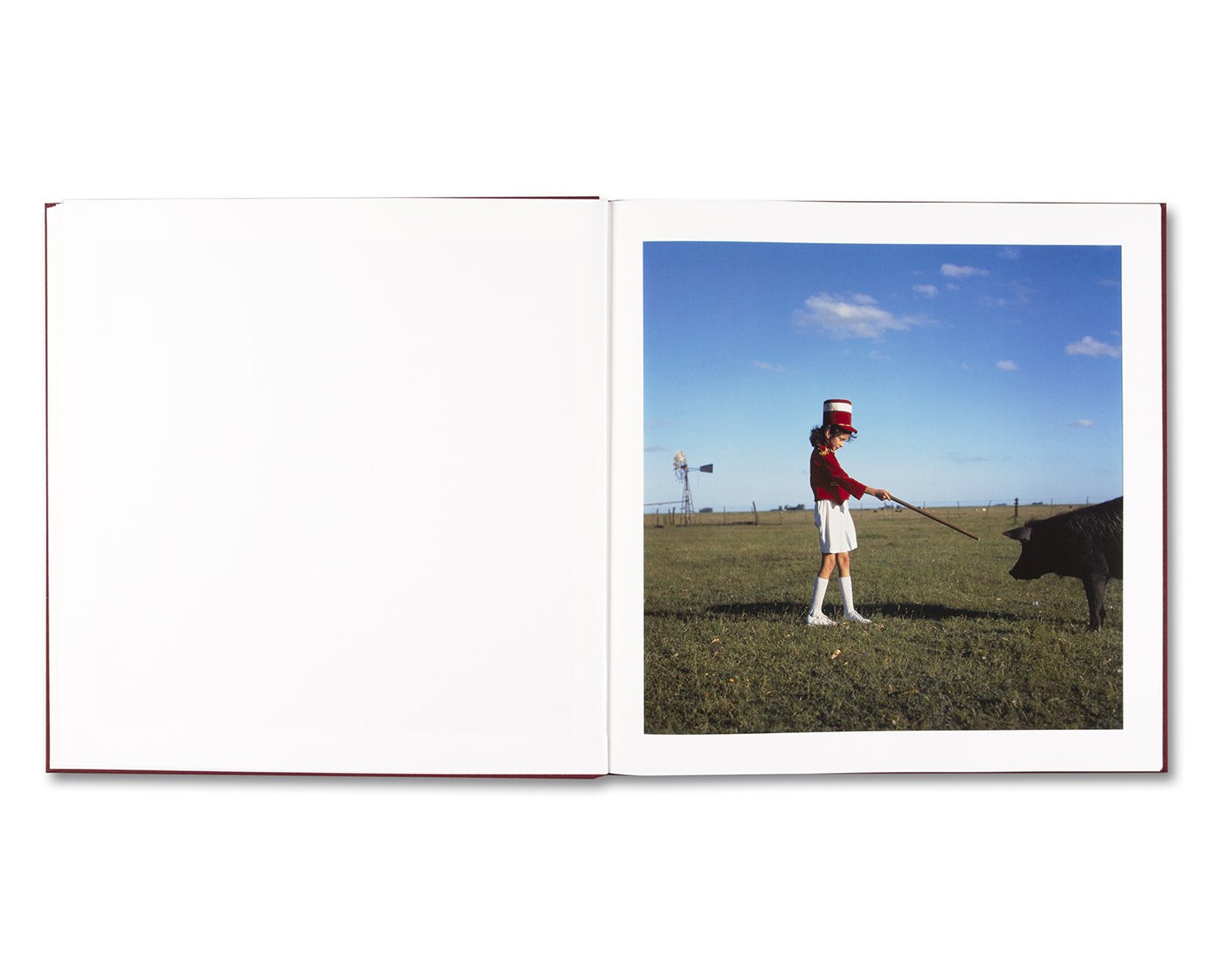 THE ADVENTURES OF GUILLE AND BELINDA AND THE ENIGMATIC MEANING OF THEIR DREAMS by Alessandra Sanguinetti