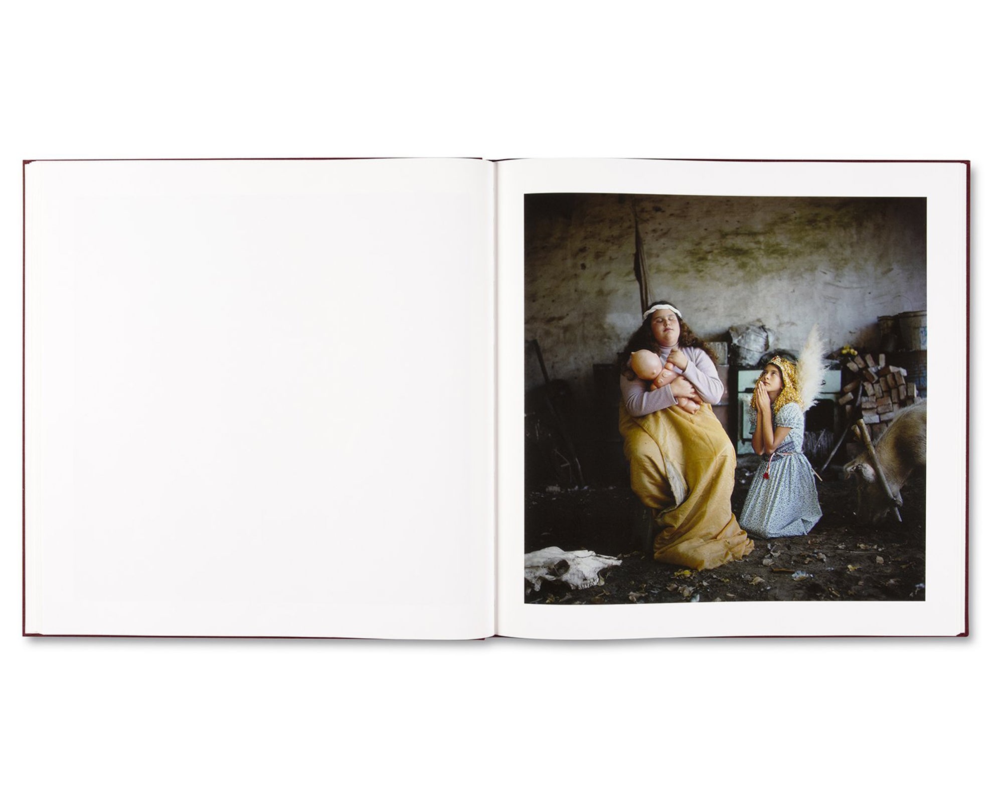 THE ADVENTURES OF GUILLE AND BELINDA AND THE ENIGMATIC MEANING OF THEIR DREAMS by Alessandra Sanguinetti