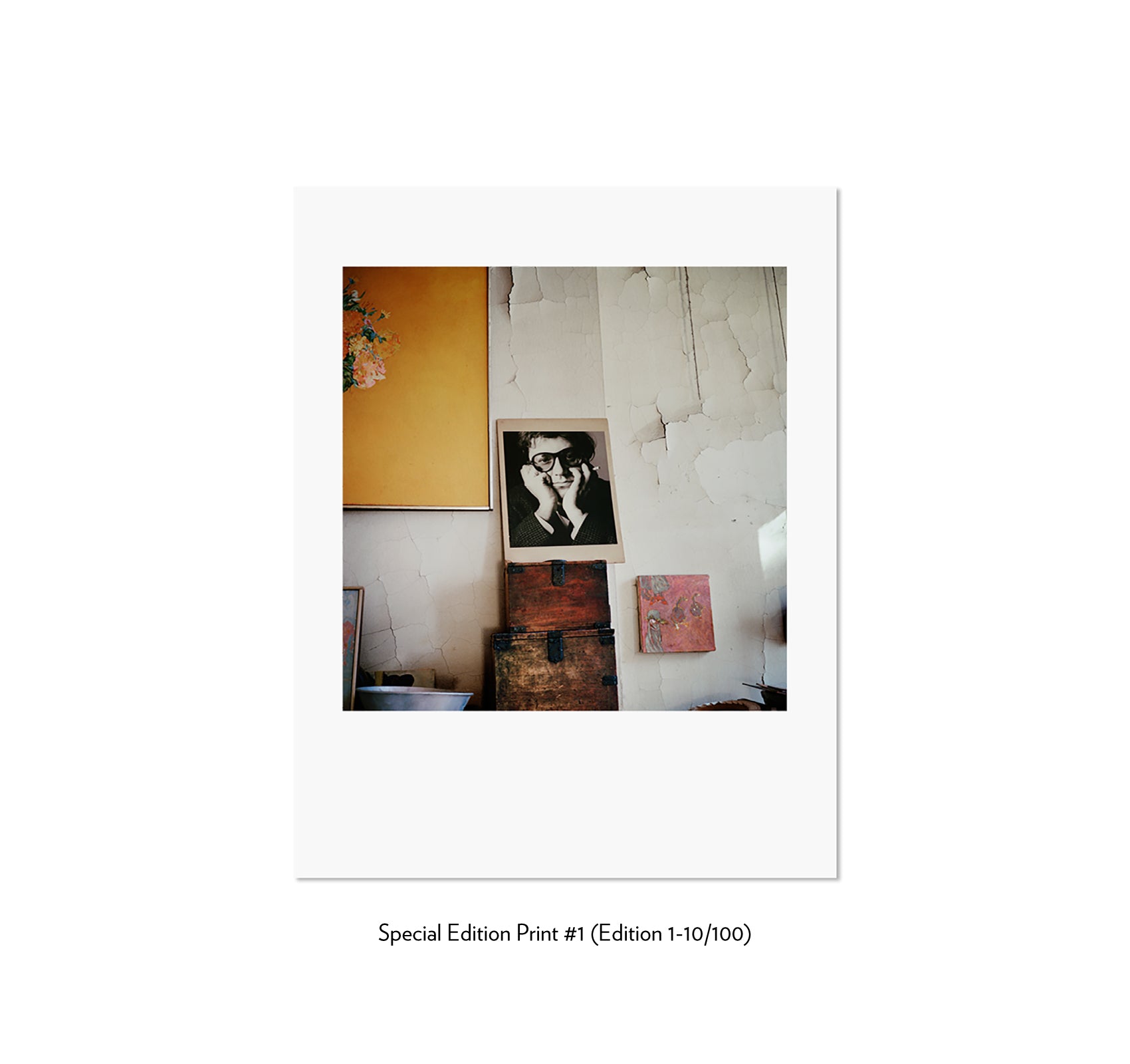 SAUL LEITER by François Halard [JAPANESE SPECIAL EDITION]