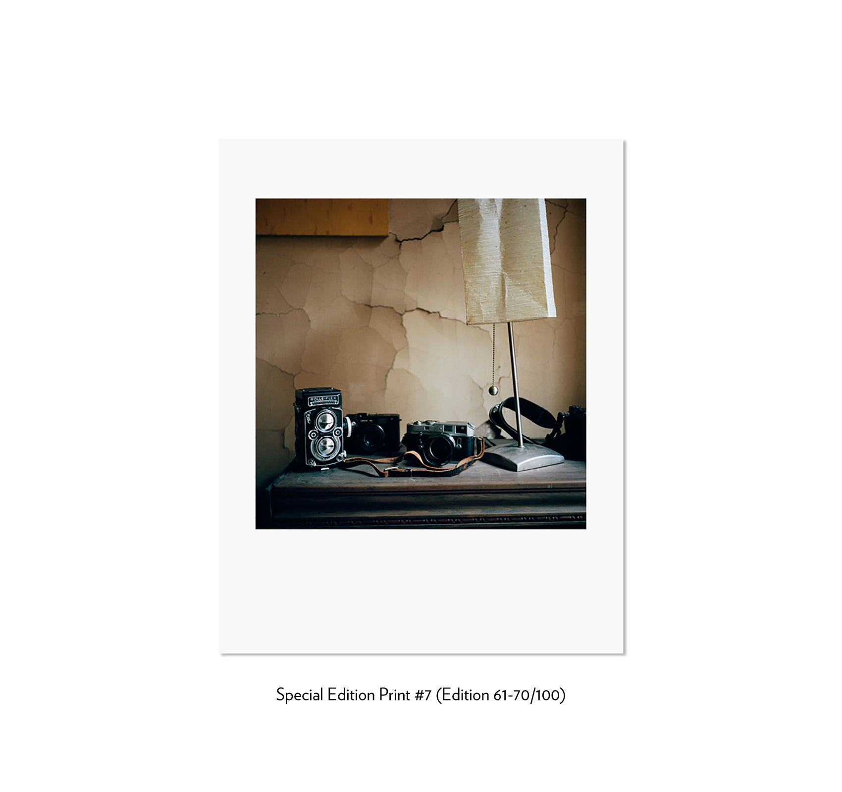 SAUL LEITER by François Halard [JAPANESE SPECIAL EDITION]