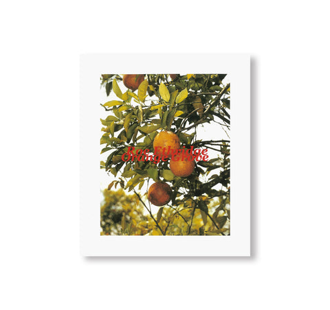 ORANGE GROVE by Roe Ethridge [SIGNED]