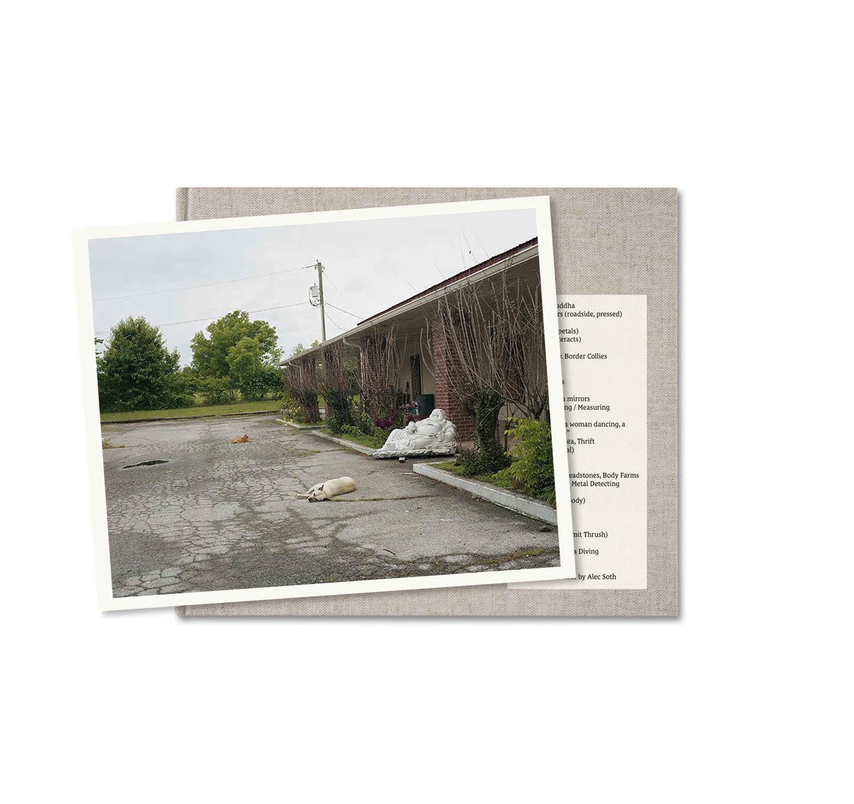 A POUND OF PICTURES by Alec Soth [SPECIAL EDITION]