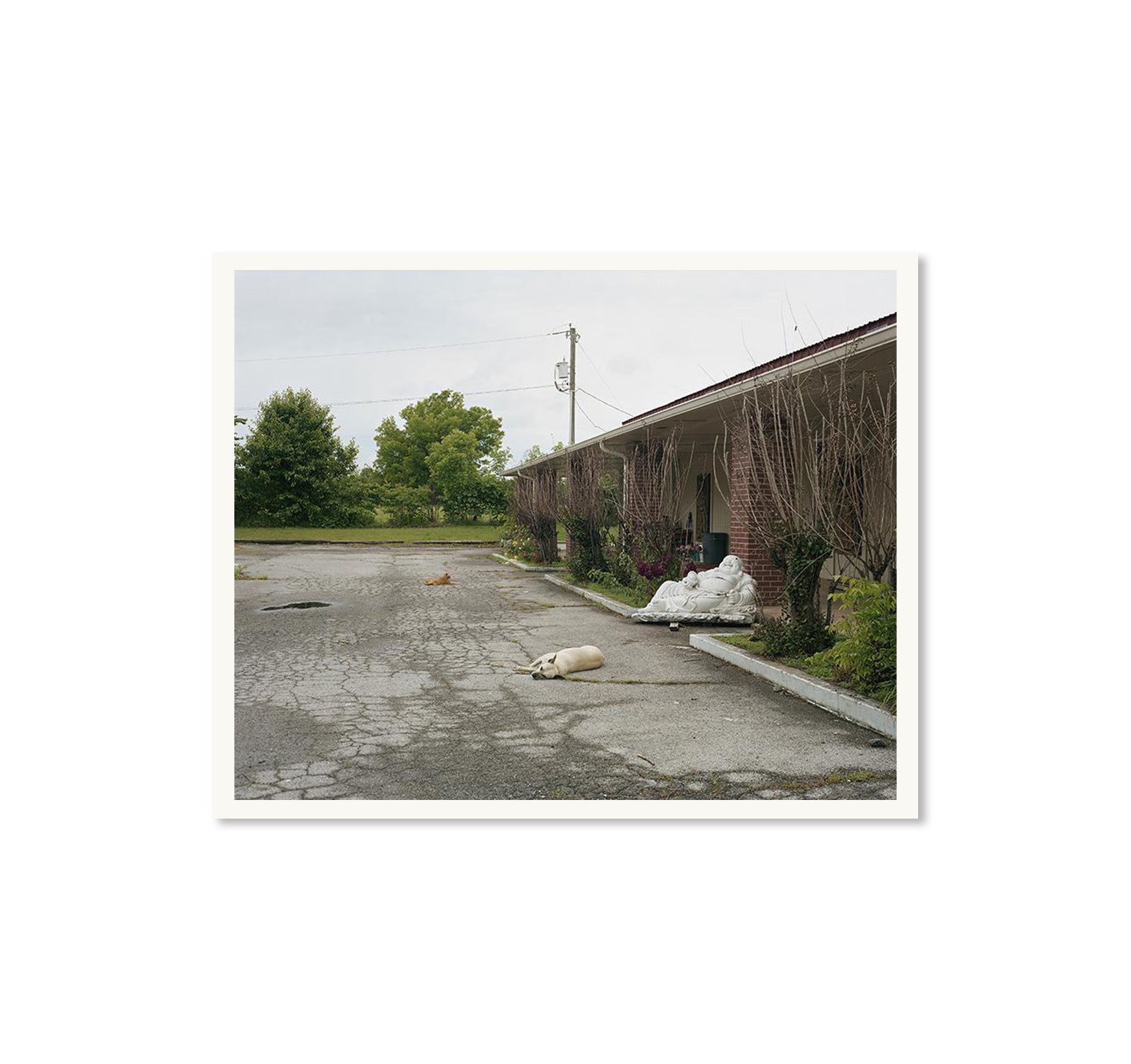 A POUND OF PICTURES by Alec Soth [SPECIAL EDITION]