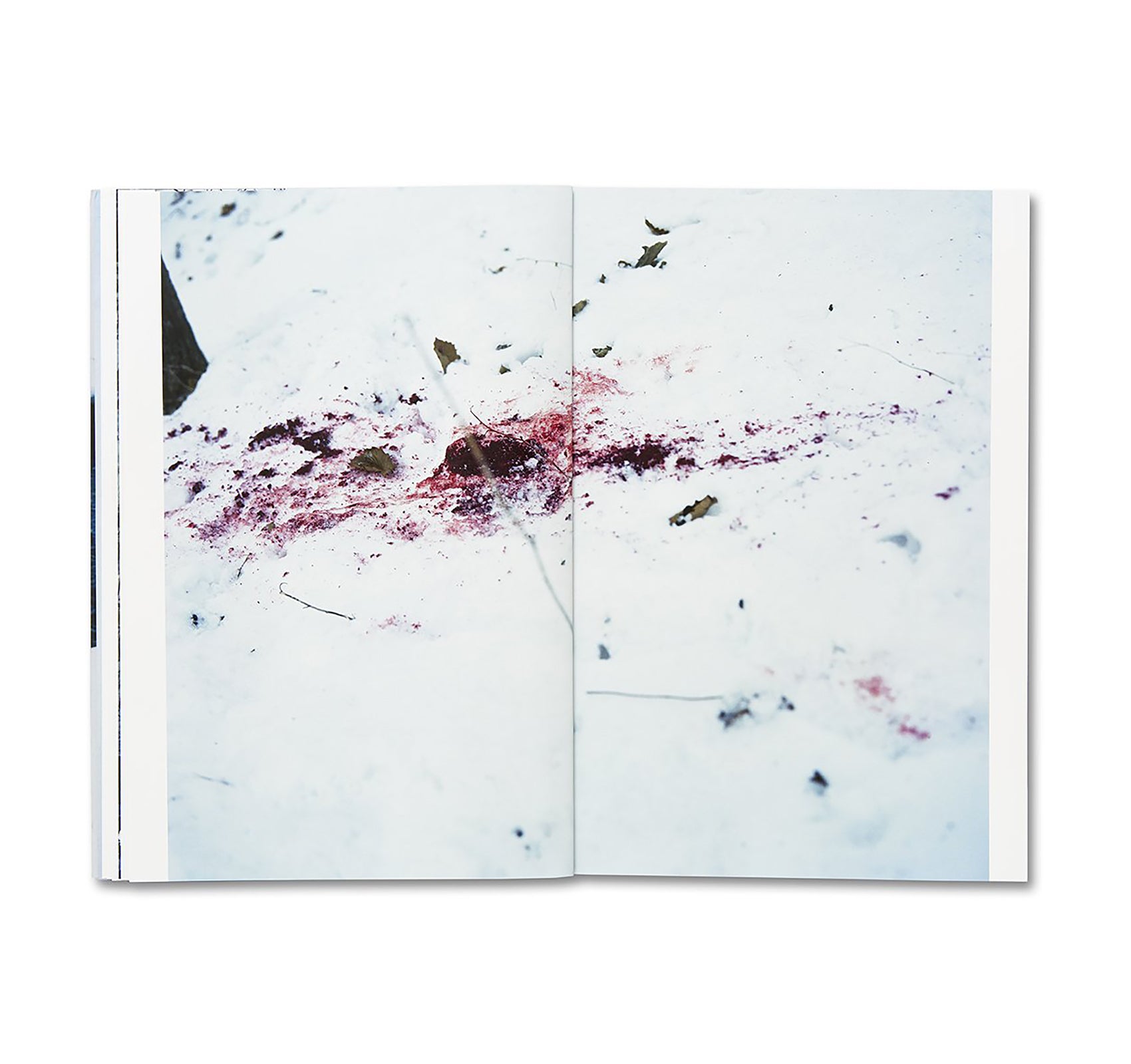 TRAILS by Takashi Homma [SIGNED]