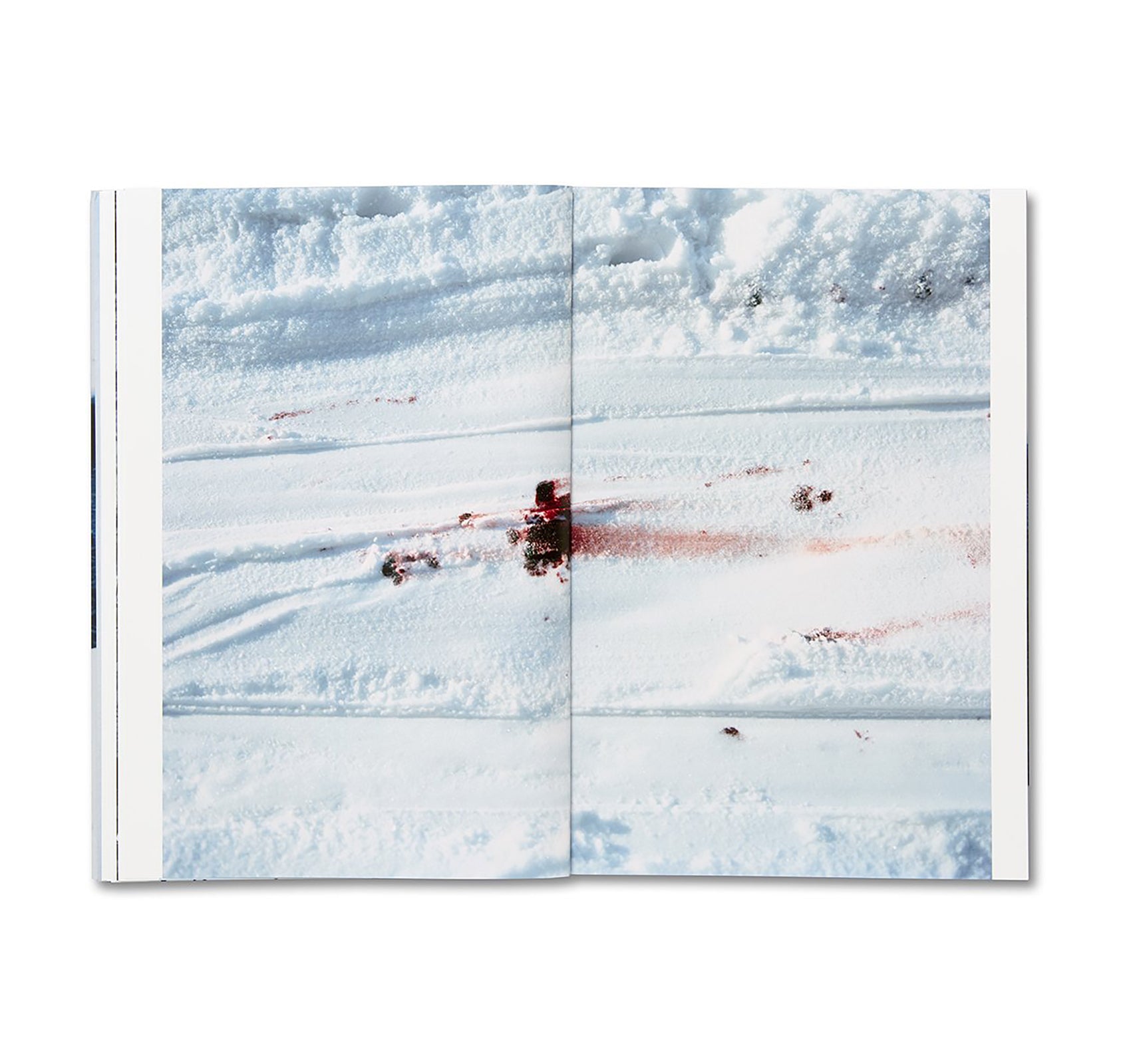 TRAILS by Takashi Homma [SIGNED]