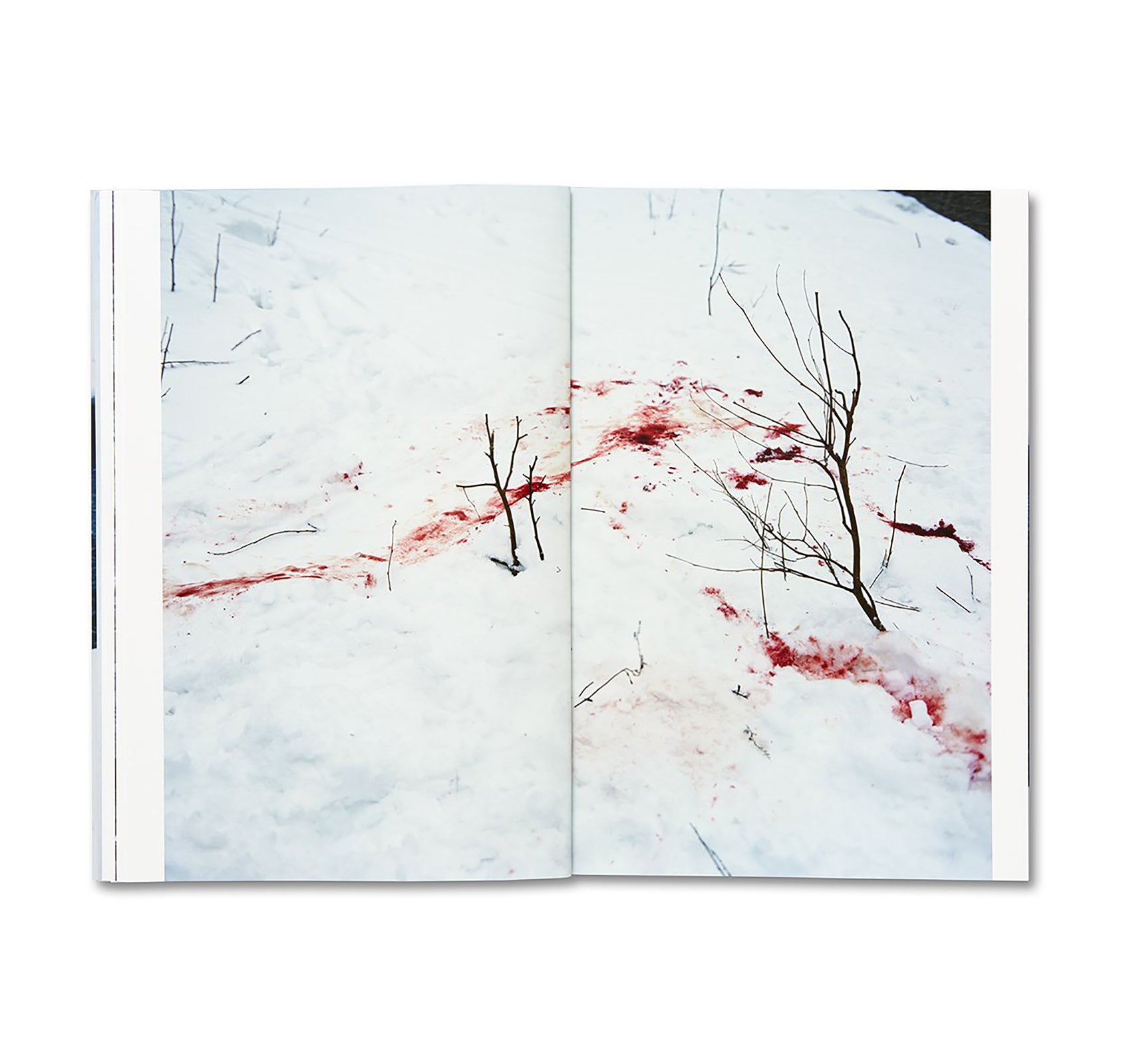 TRAILS by Takashi Homma [SIGNED]