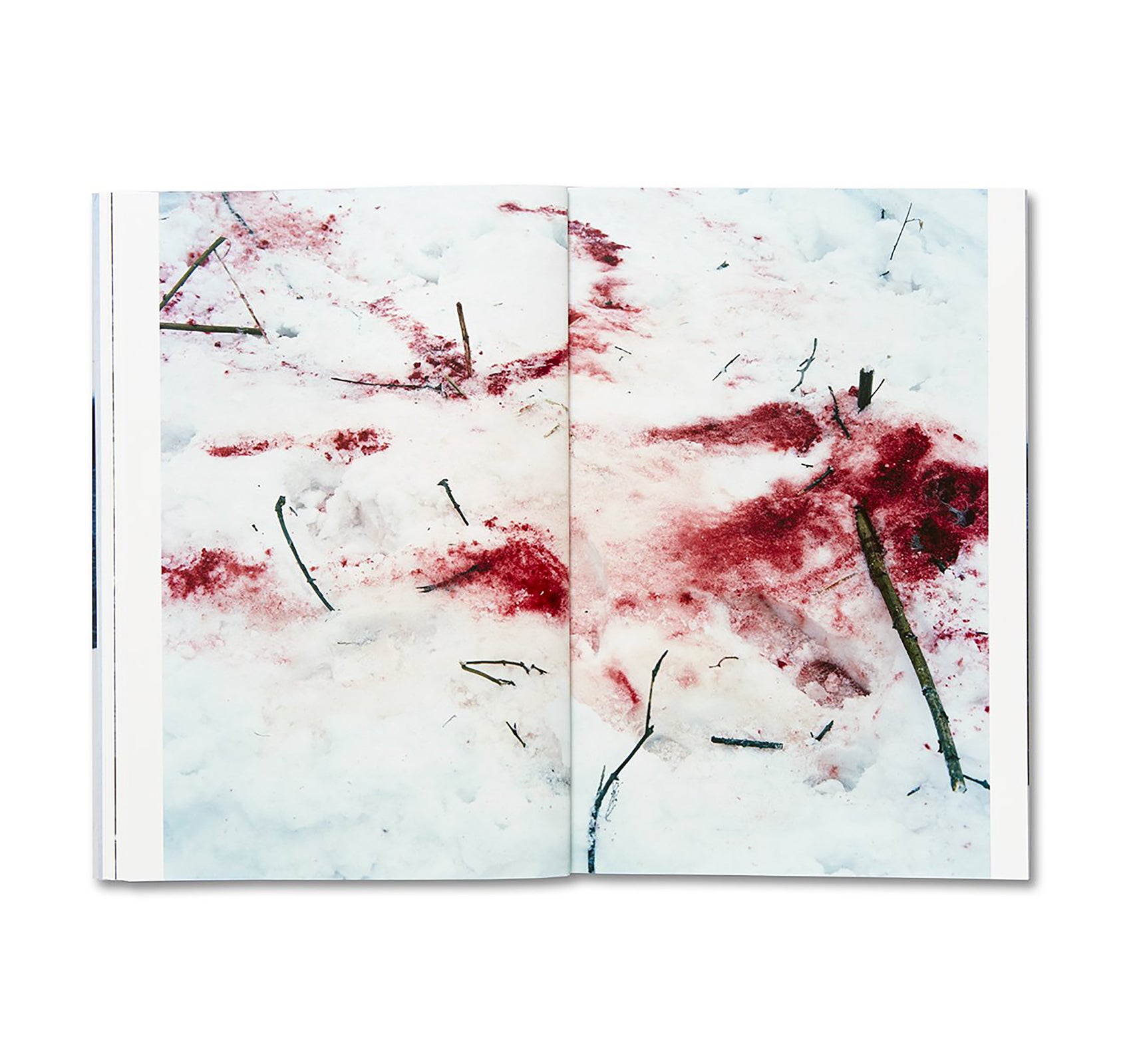 TRAILS by Takashi Homma [SIGNED]