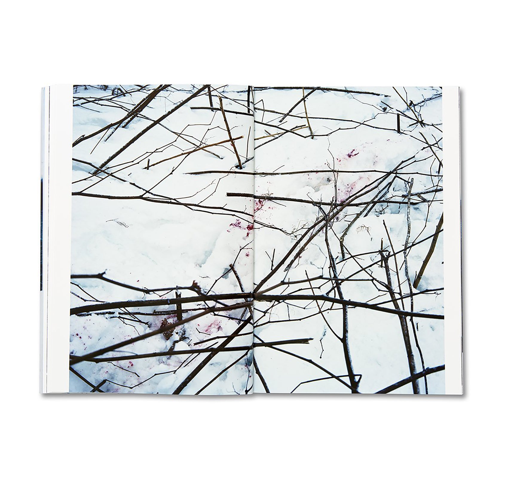 TRAILS by Takashi Homma [SIGNED]