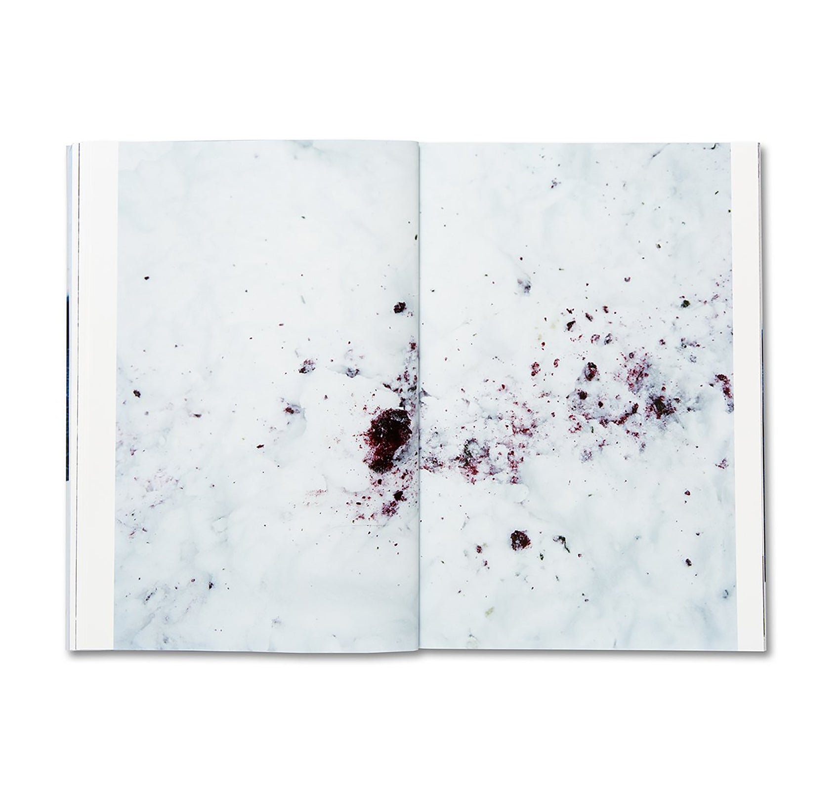 TRAILS by Takashi Homma [SIGNED]