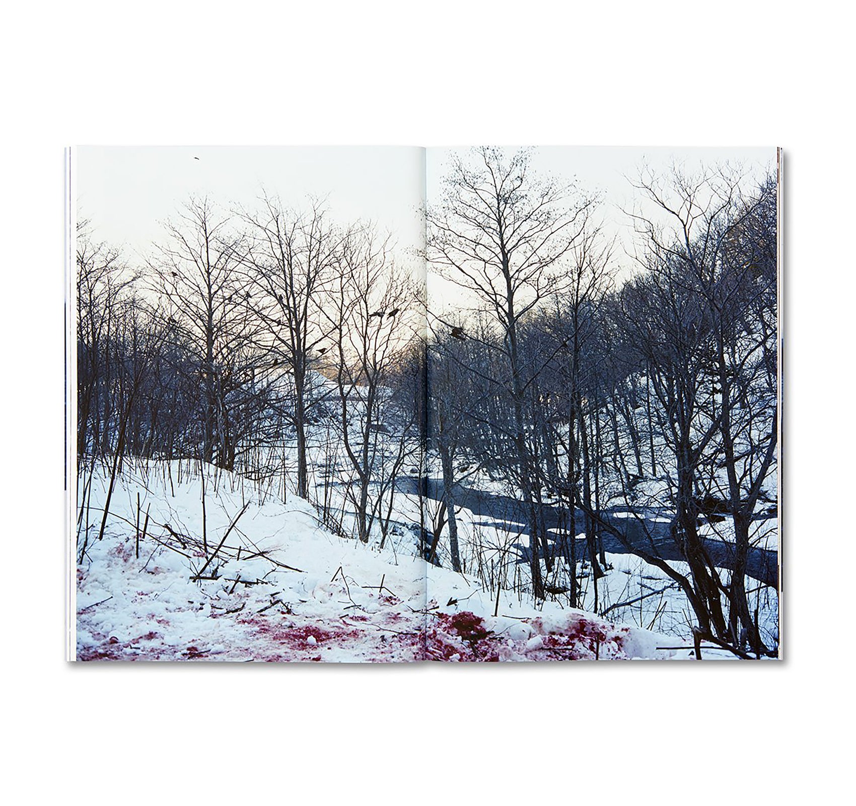 TRAILS by Takashi Homma [SIGNED]