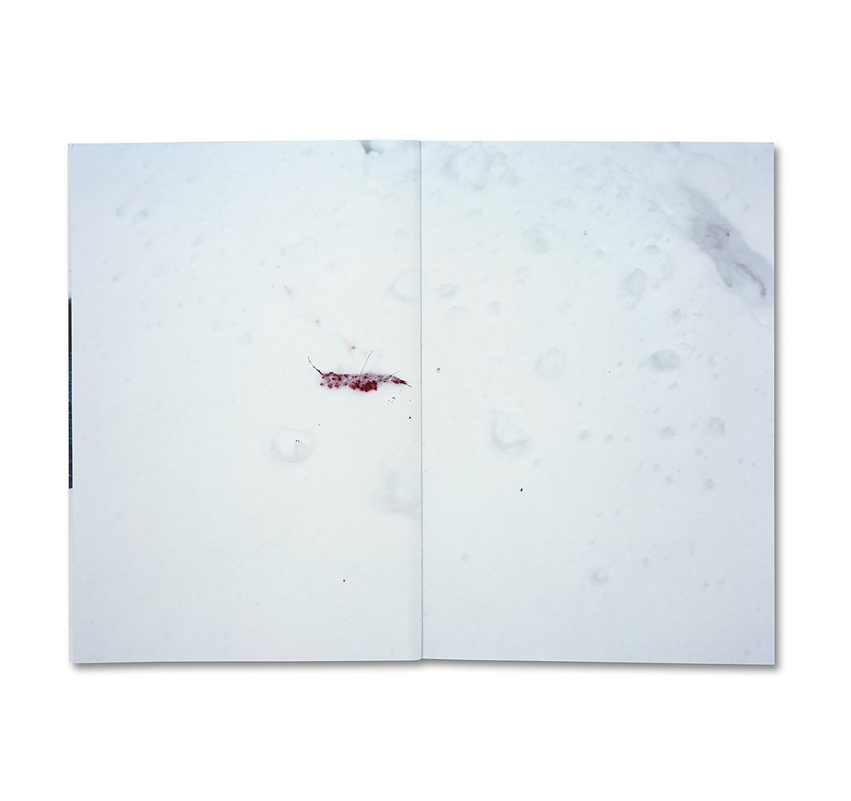 TRAILS by Takashi Homma [SIGNED]