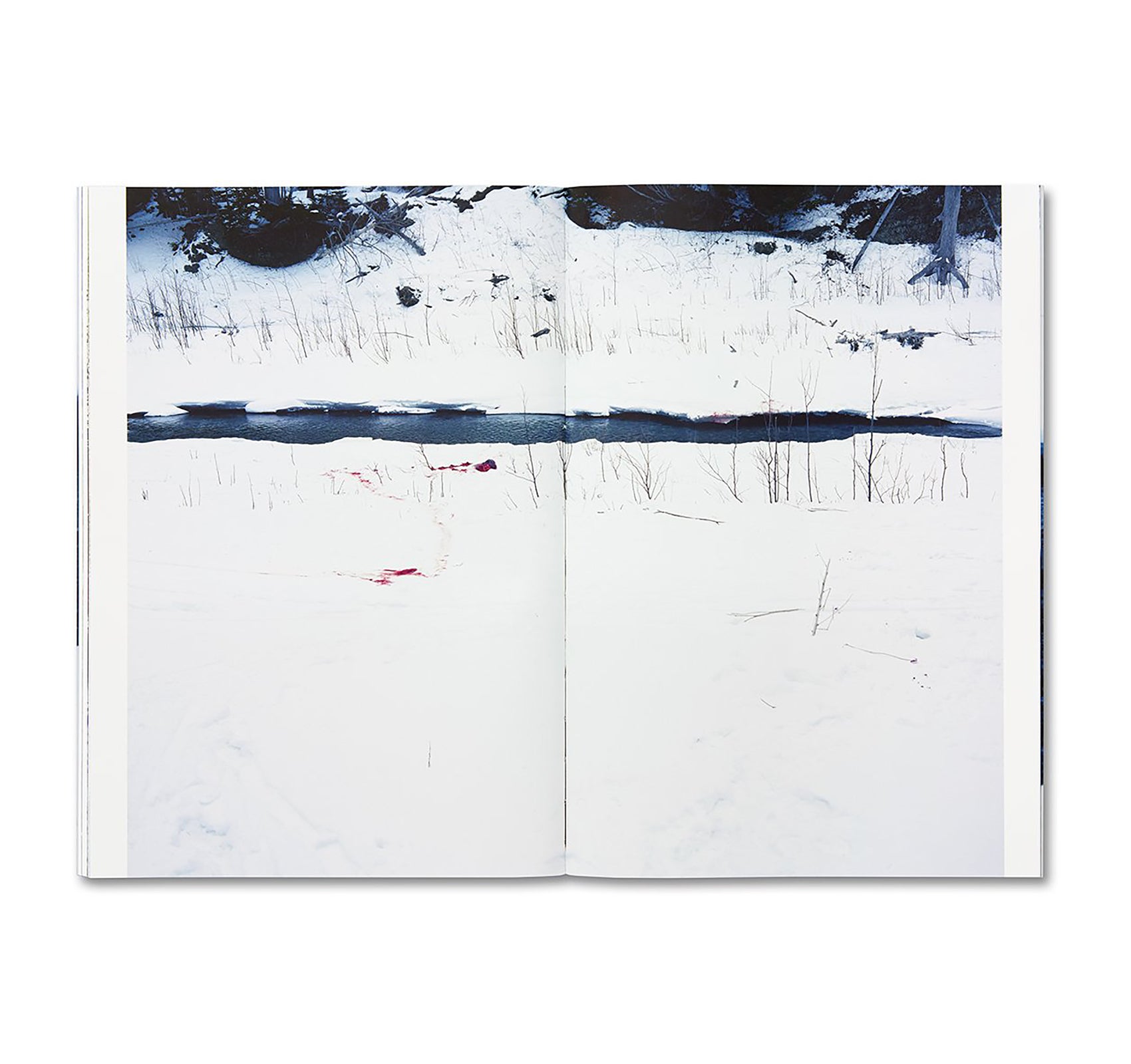 TRAILS by Takashi Homma [SIGNED]