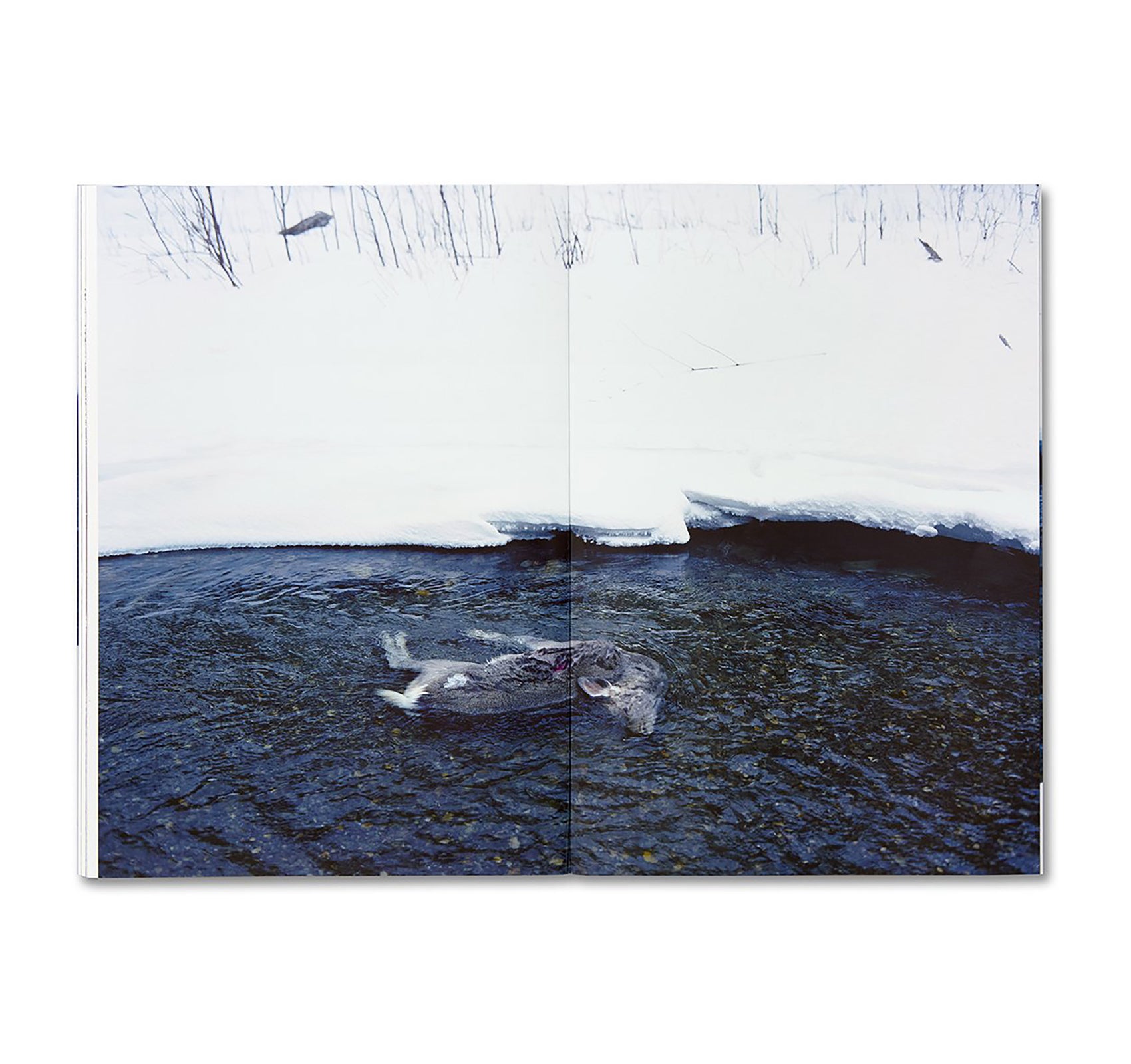 TRAILS by Takashi Homma [SIGNED]