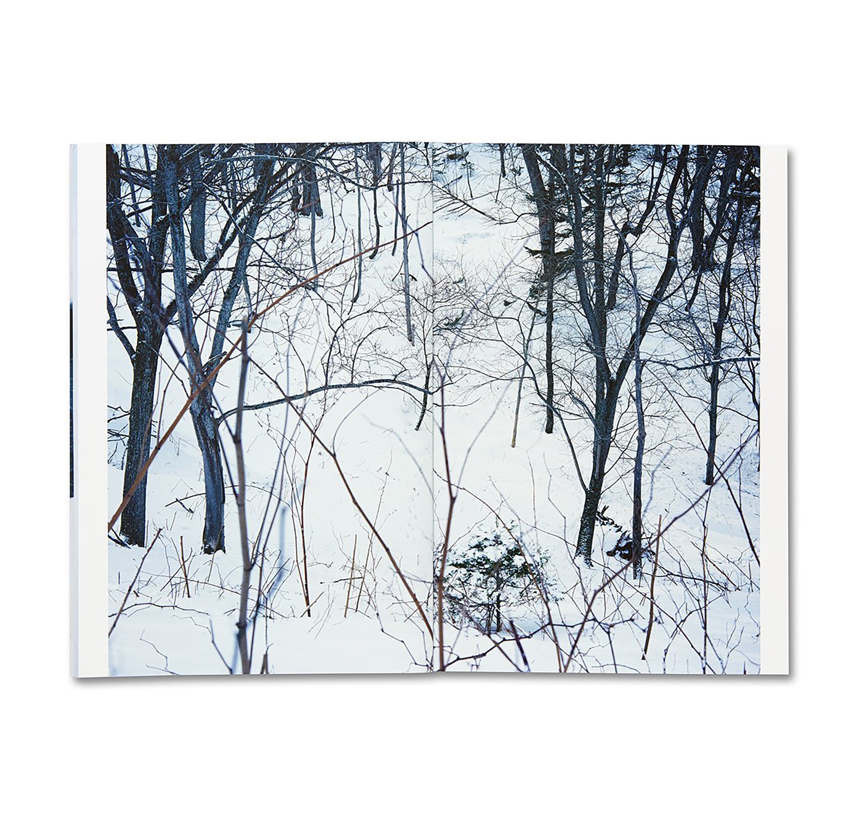 TRAILS by Takashi Homma [SIGNED]