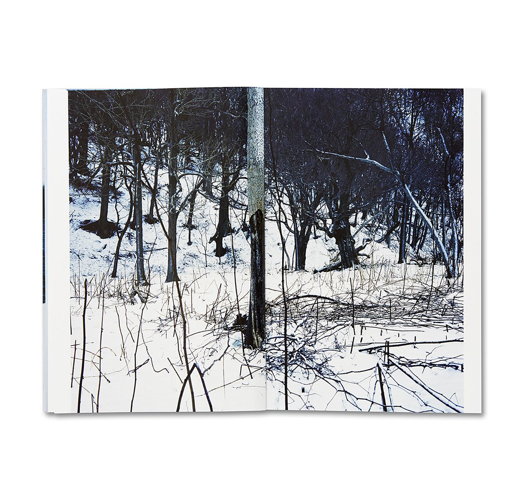 TRAILS by Takashi Homma [SIGNED]